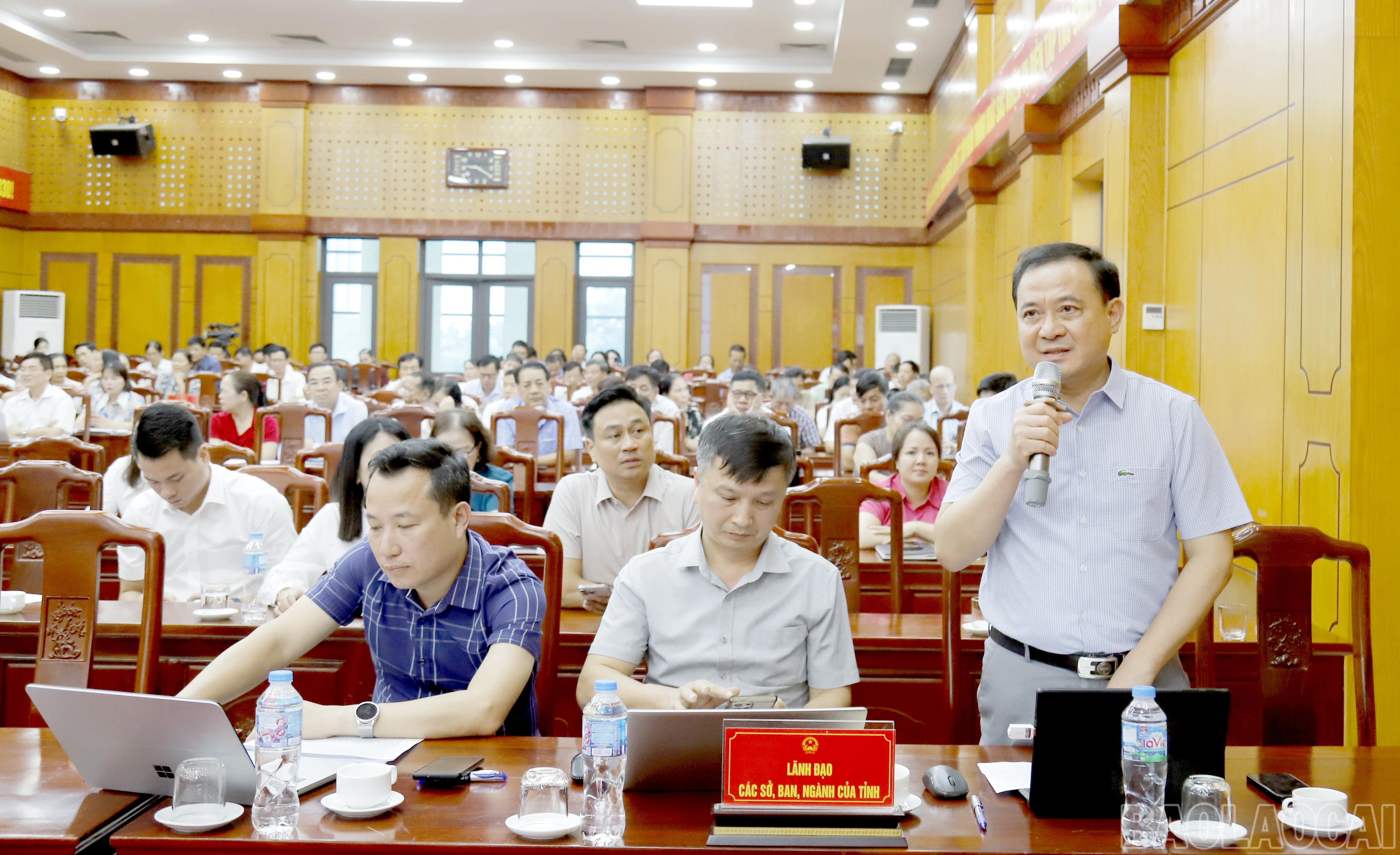 baolaocai-br_mg-8142.jpg