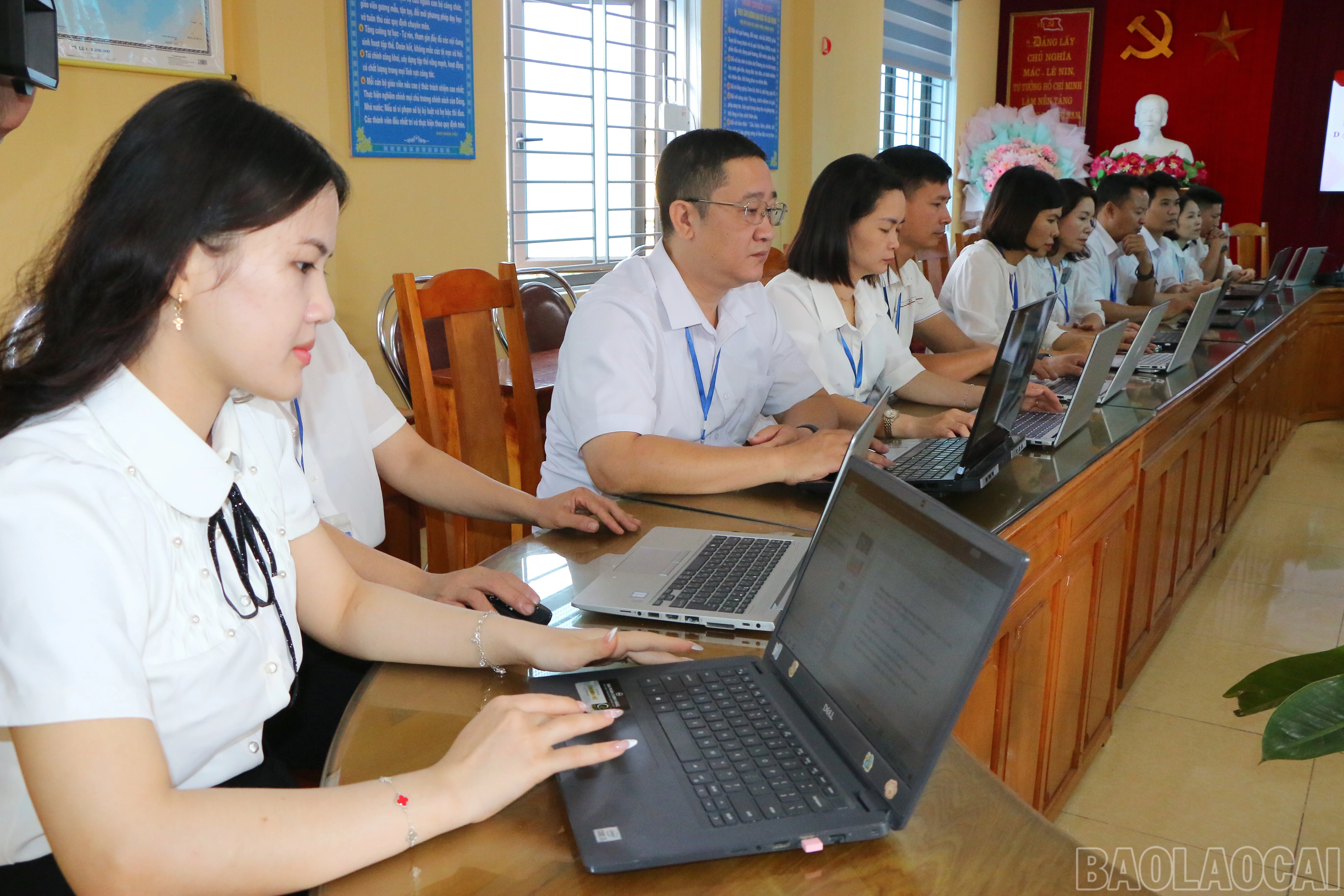 baolaocai-br_567.jpg