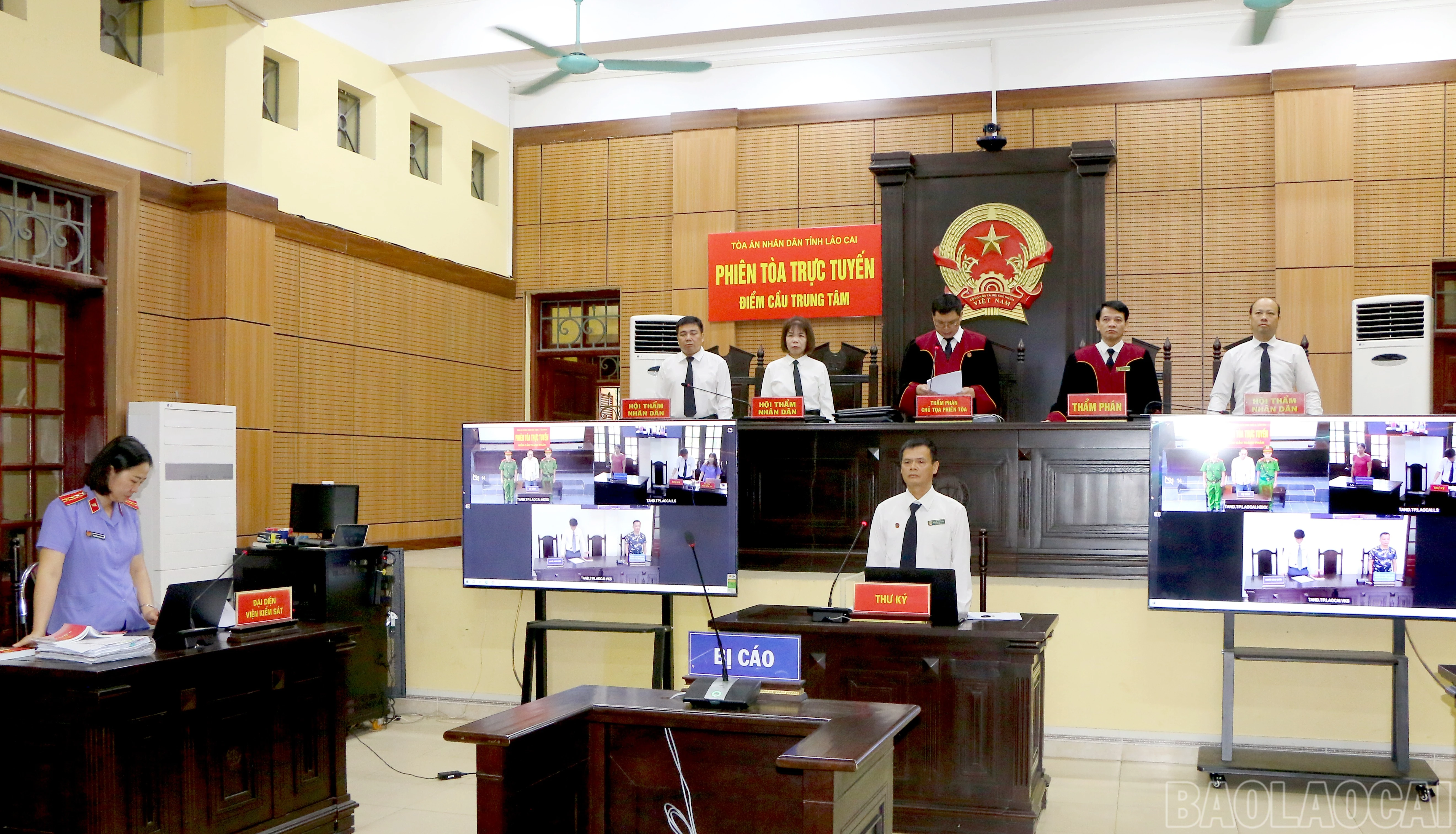 baolaocai-br_img-2950.jpg