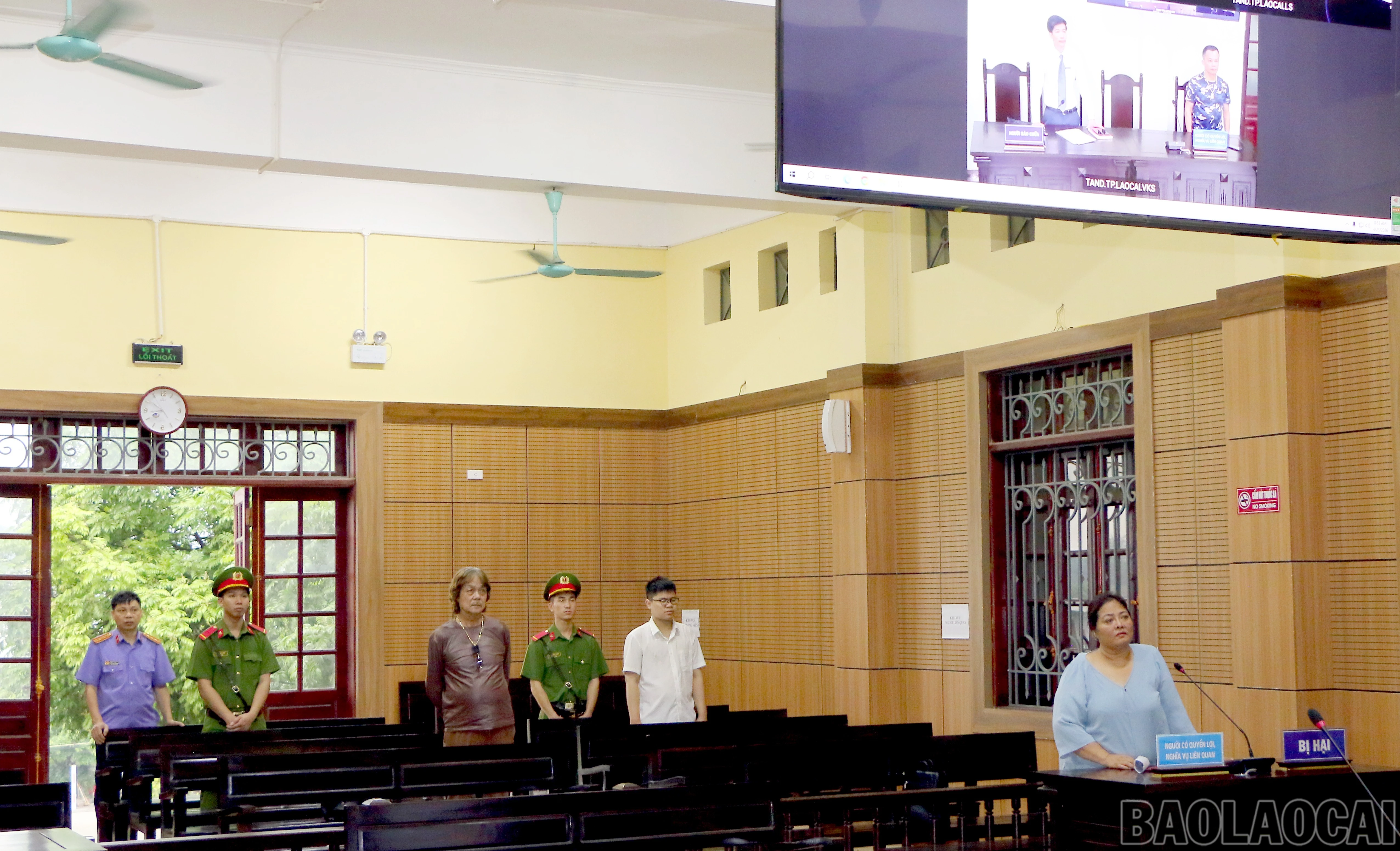 baolaocai-br_img-2951.jpg