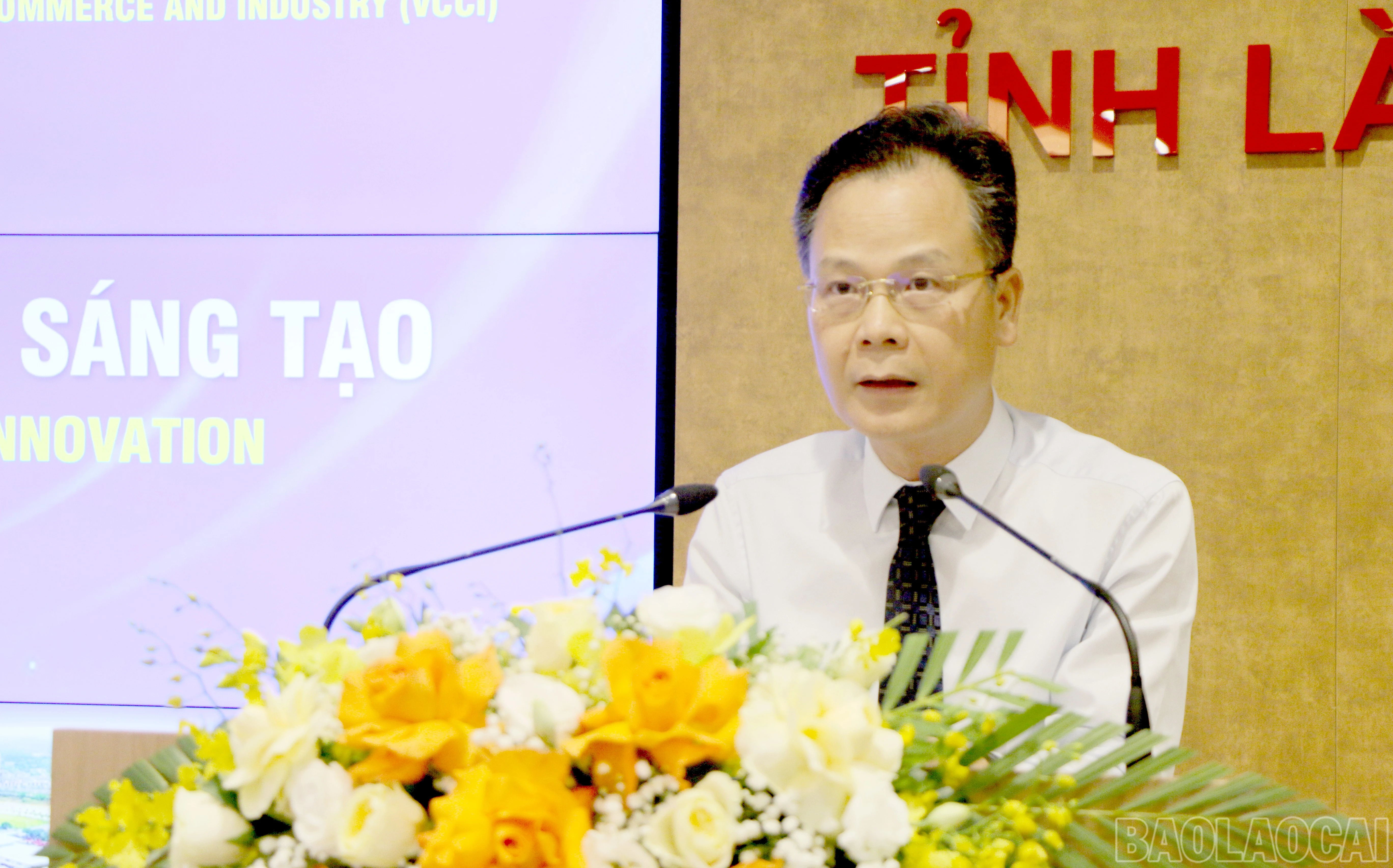 baolaocai-br_a-sinh.jpg