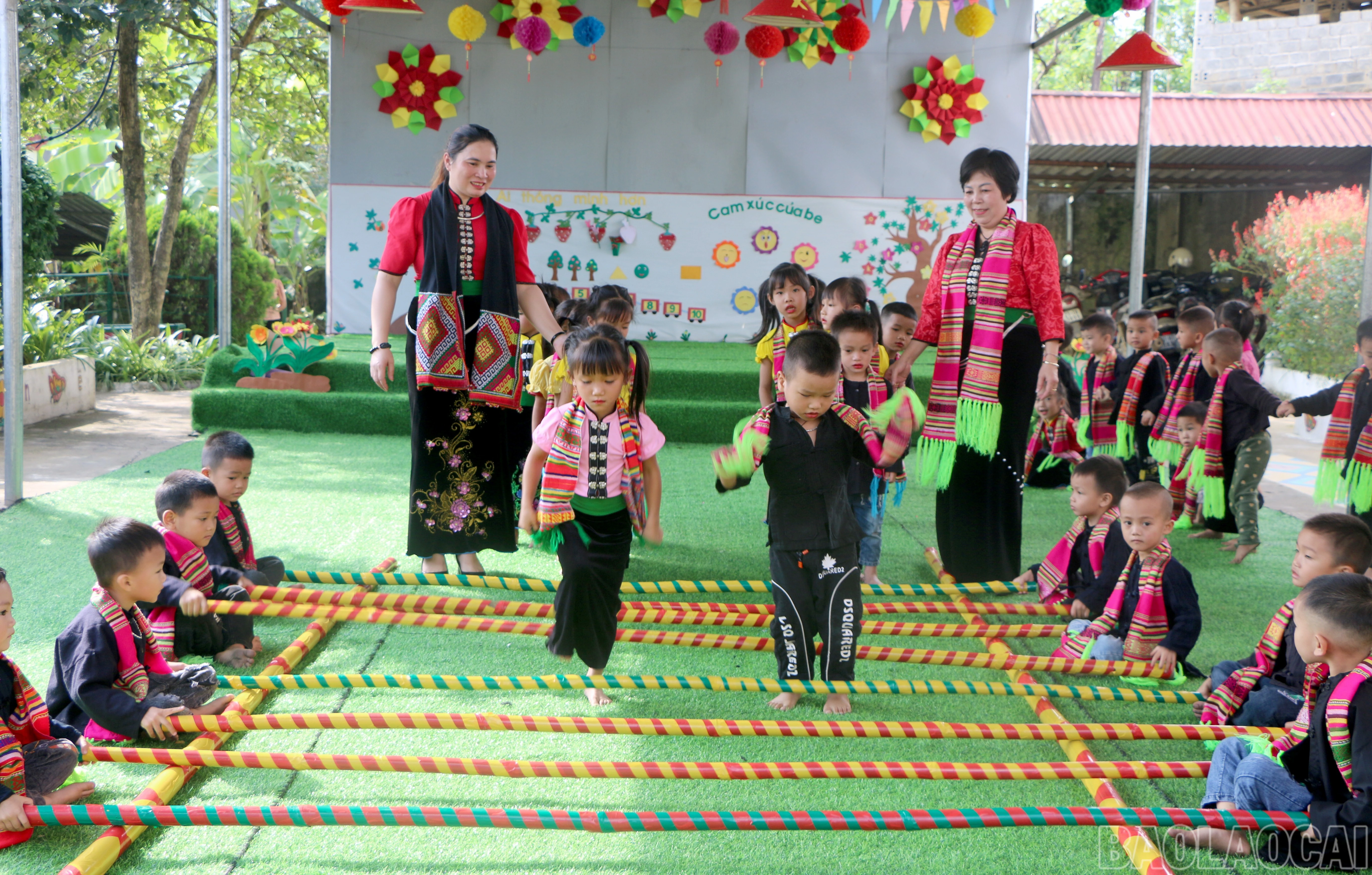 baolaocai-br_img1.jpg
