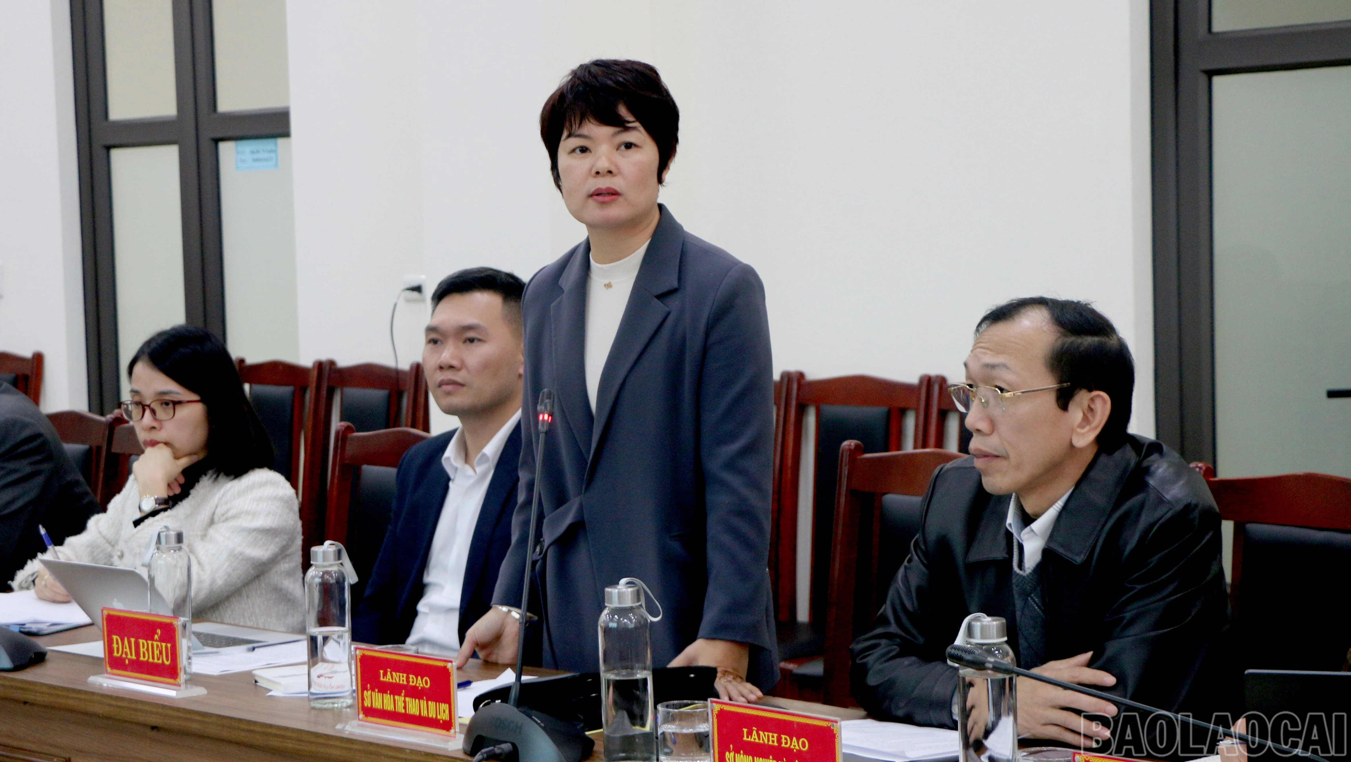 baolaocai-br_img-1720.jpg