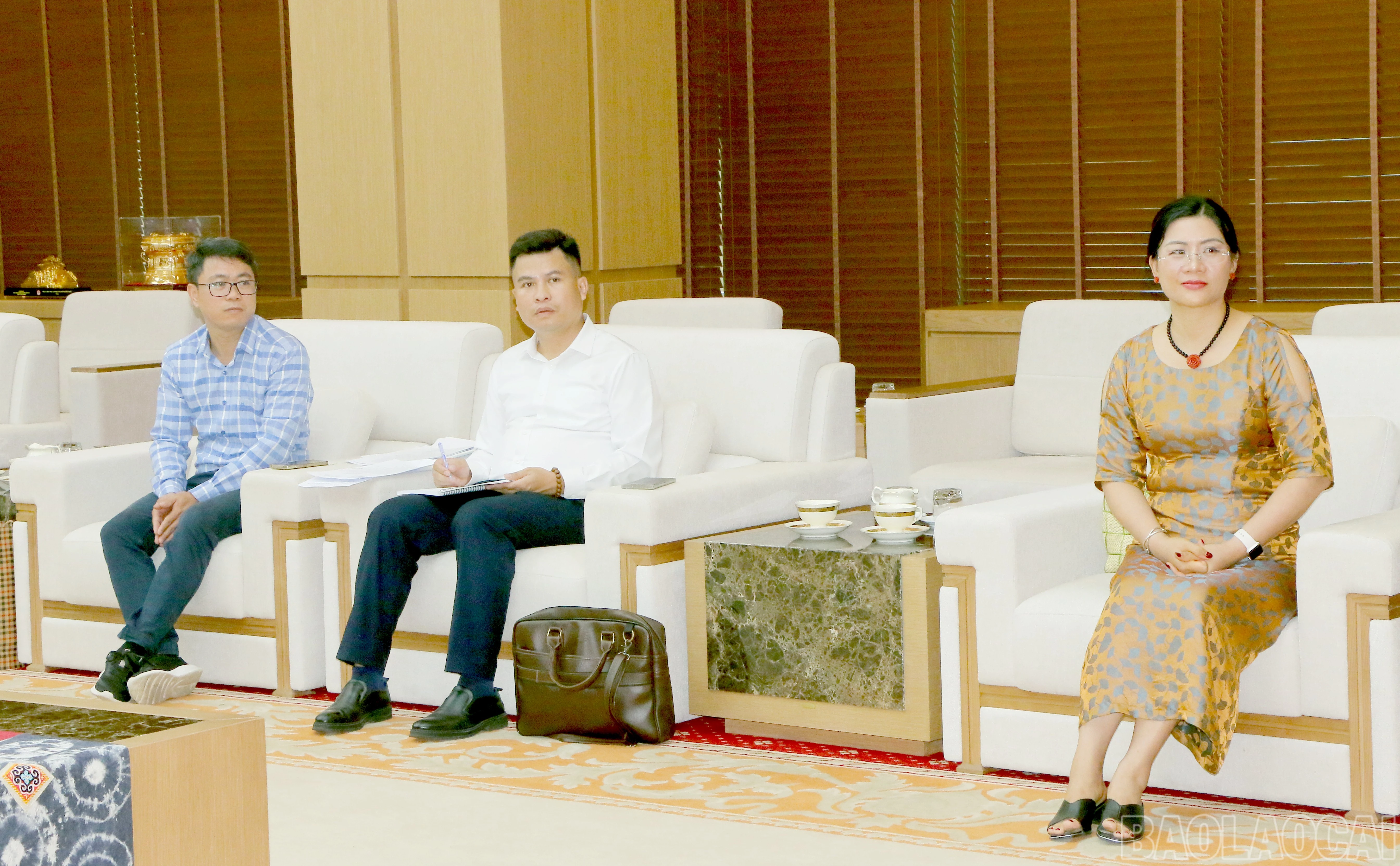 baolaocai-br_img-4412.jpg