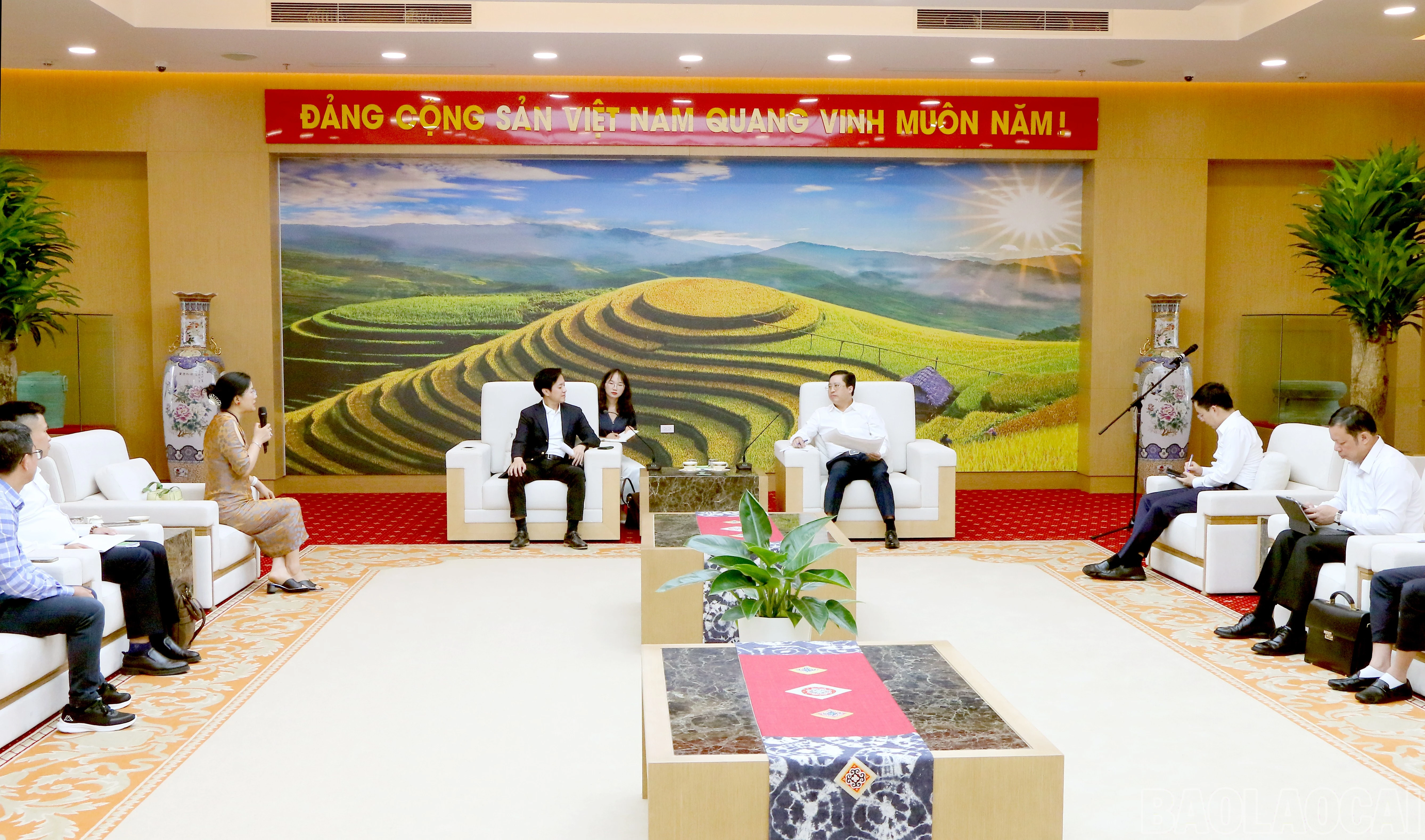 baolaocai-br_img-4451.jpg