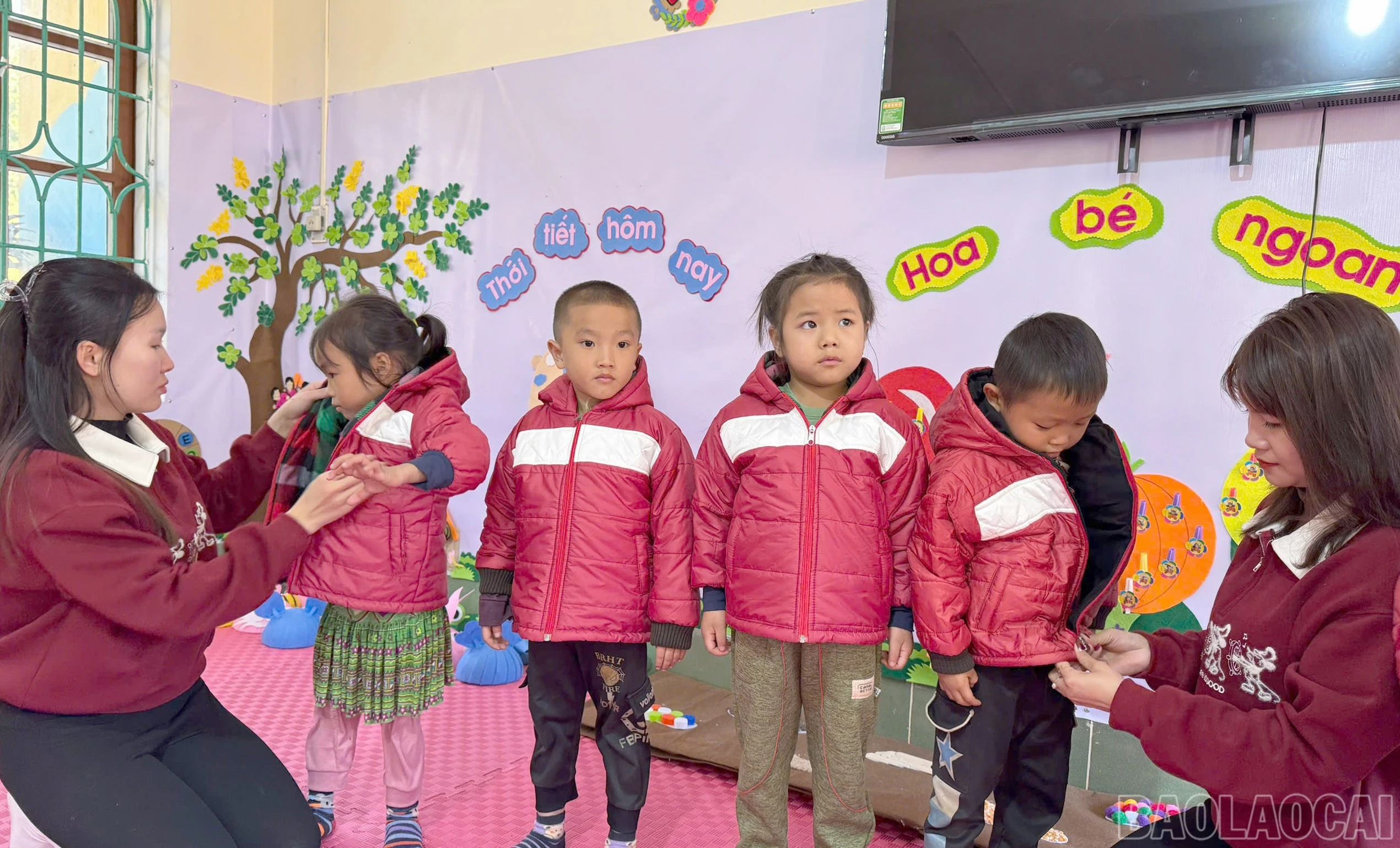 baolaocai-br_z7270632083919-3d29171947998ef5c7424e5a380b0bcb.jpg