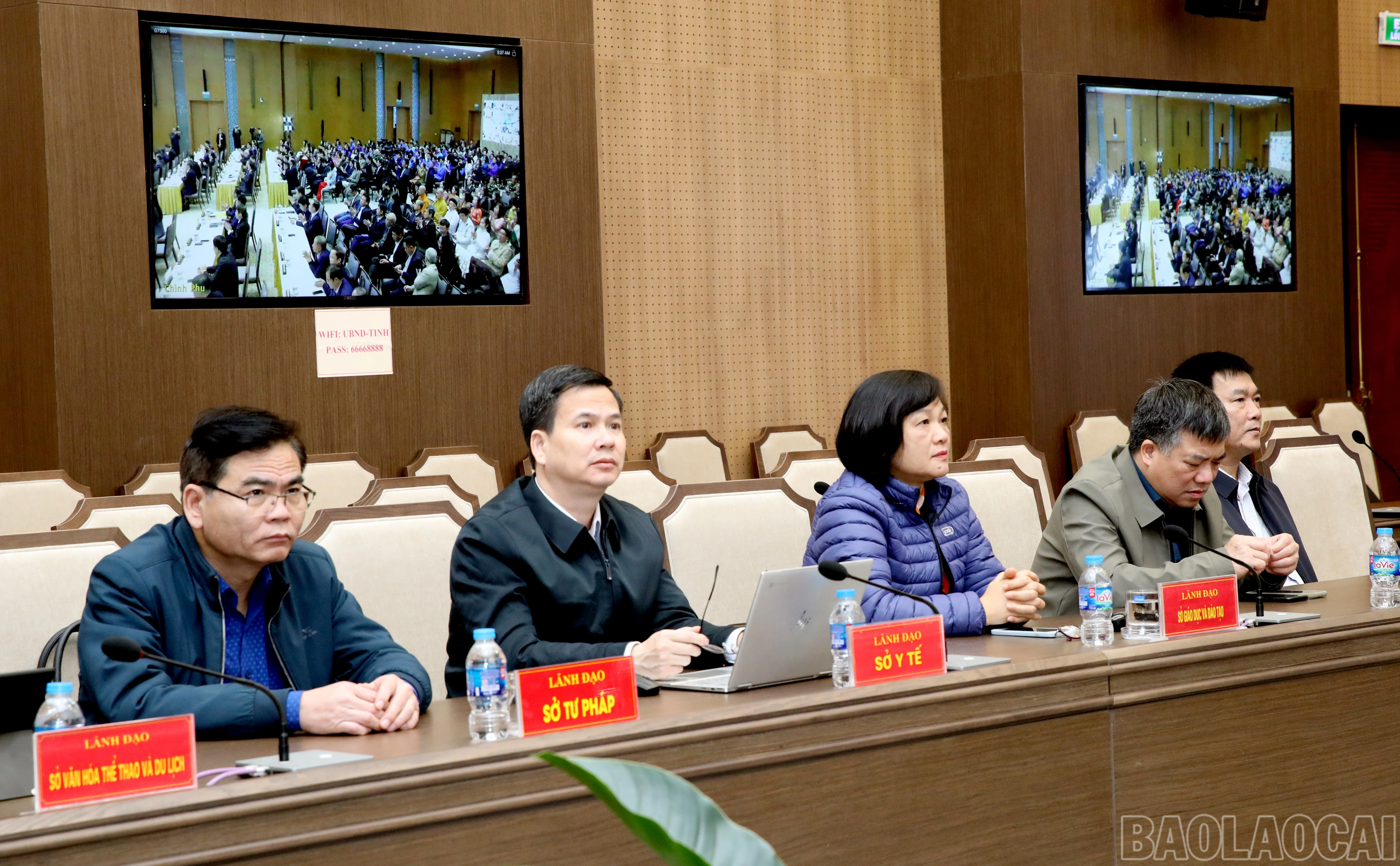 baolaocai-br_4y3a1390.jpg