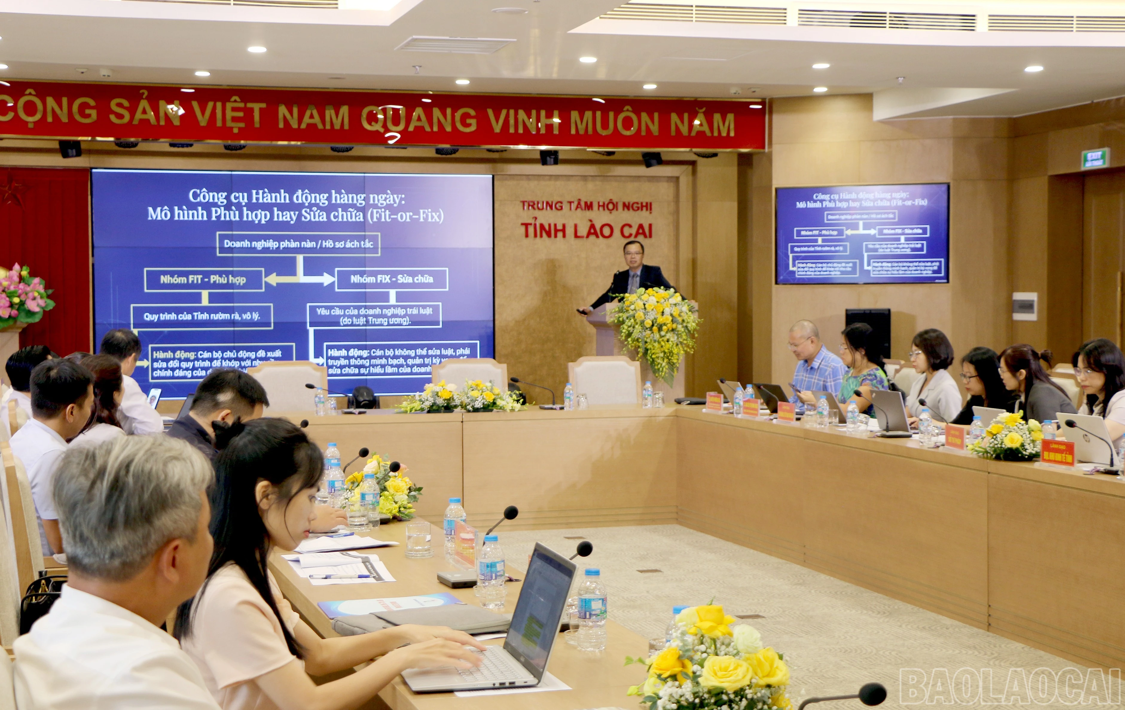 baolaocai-br_qc1-3144.jpg