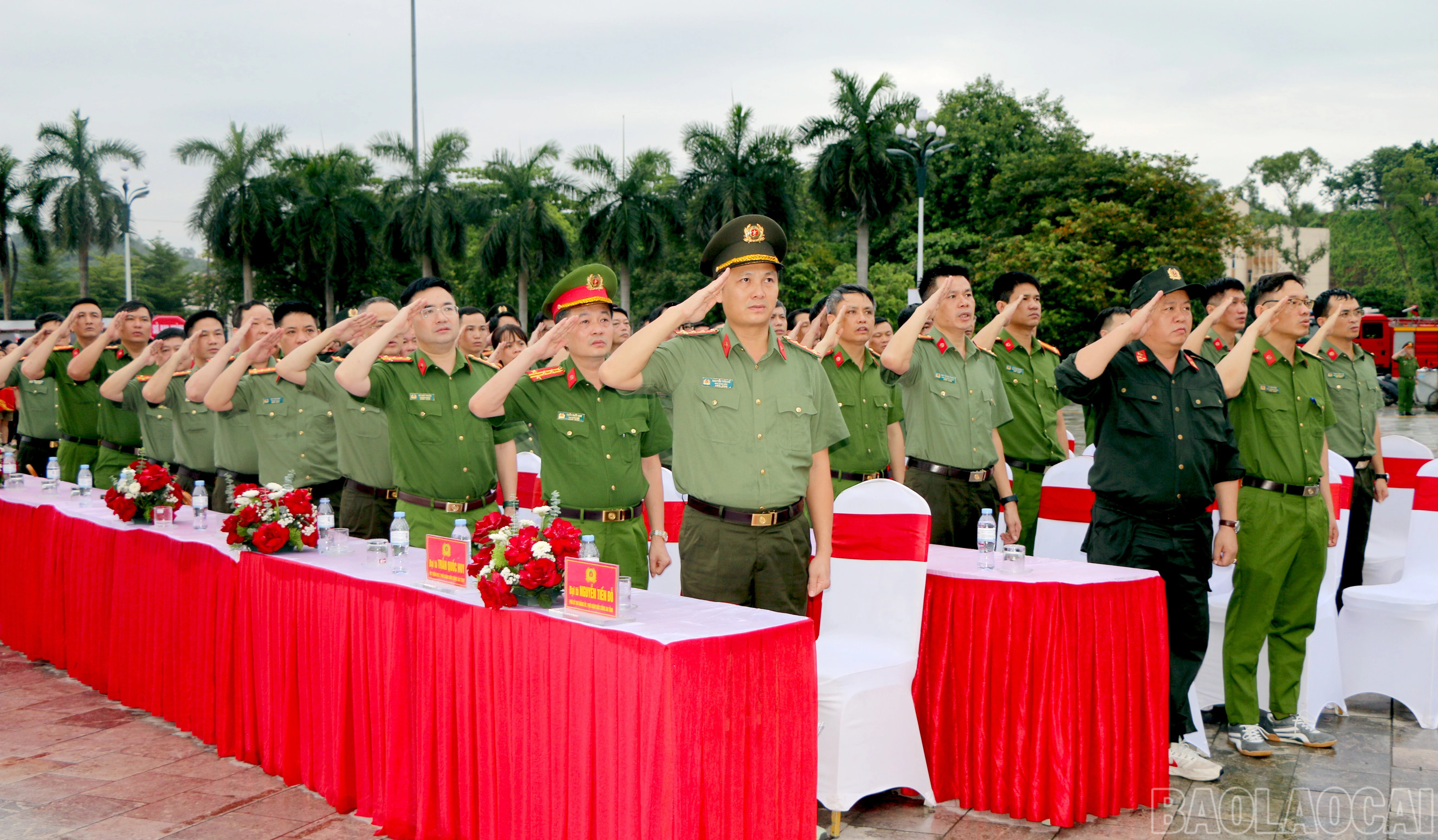 baolaocai-br_img-4211.jpg