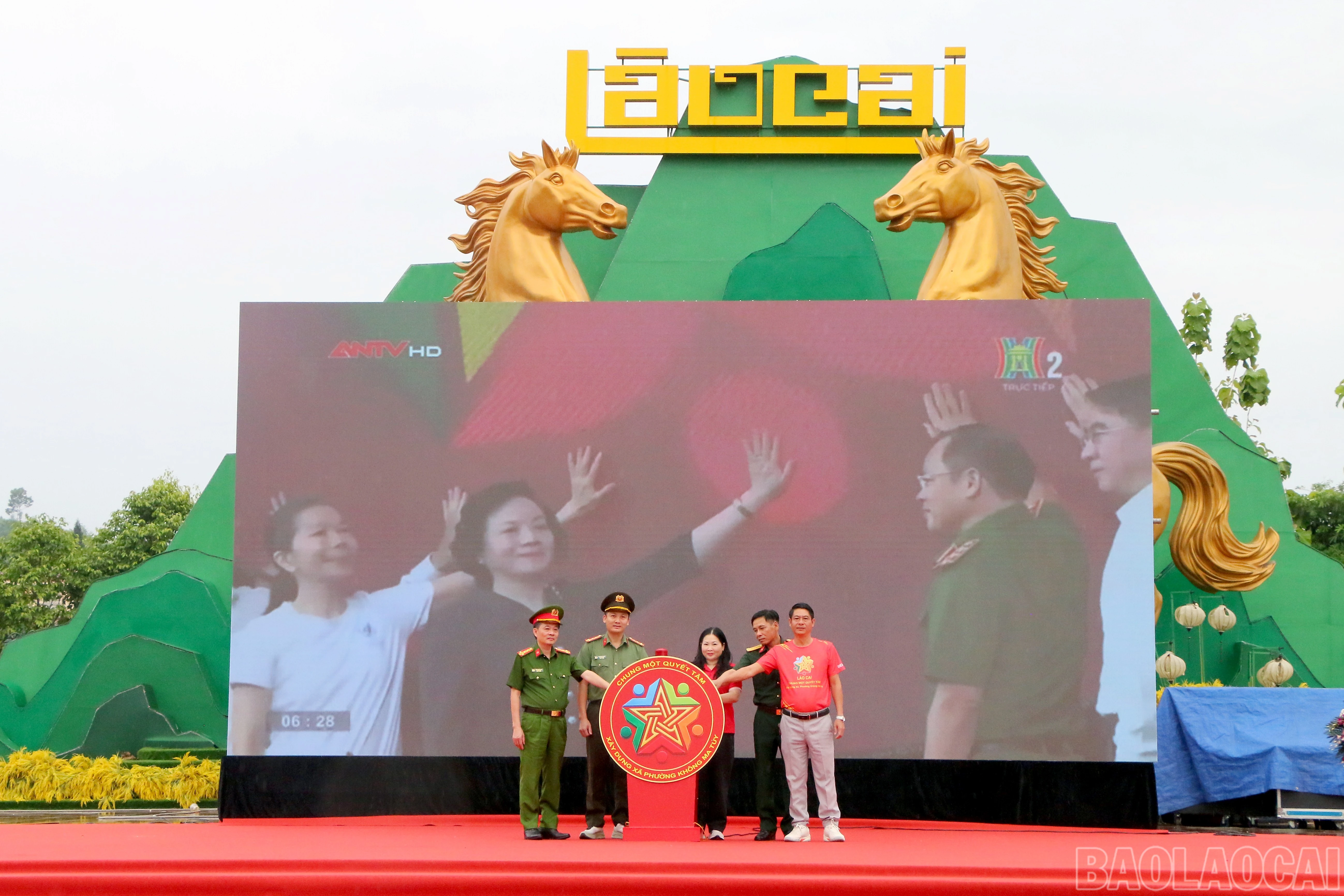 baolaocai-br_img-4246.jpg