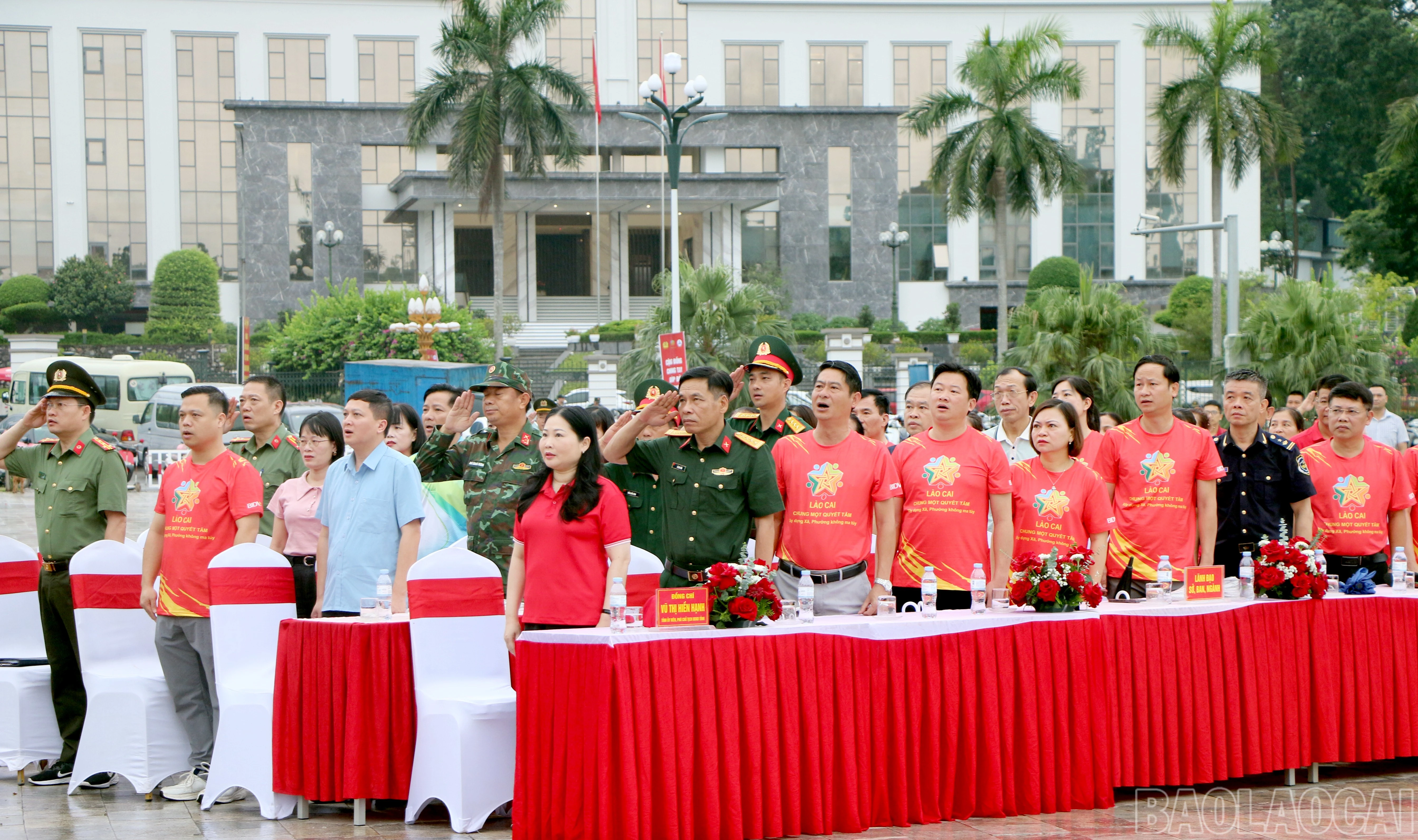 baolaocai-br_img-4210.jpg