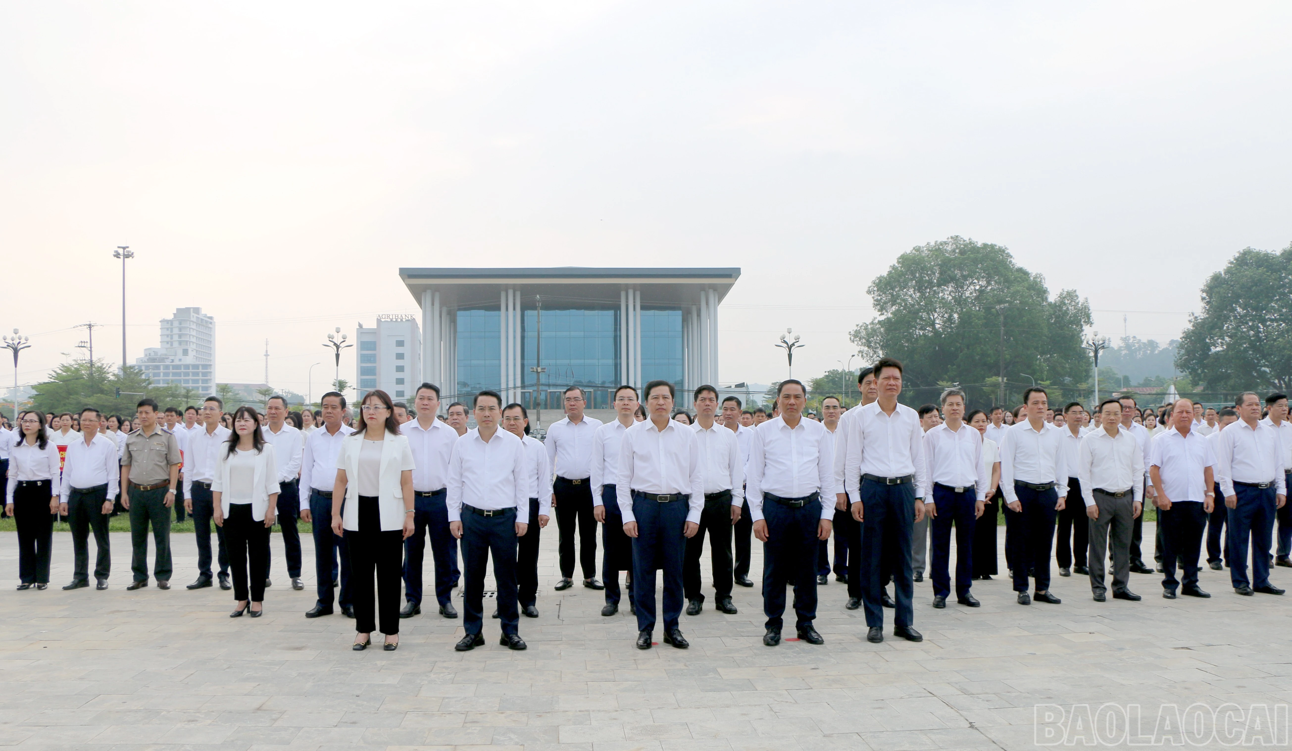 baolaocai-br_img-9896.jpg