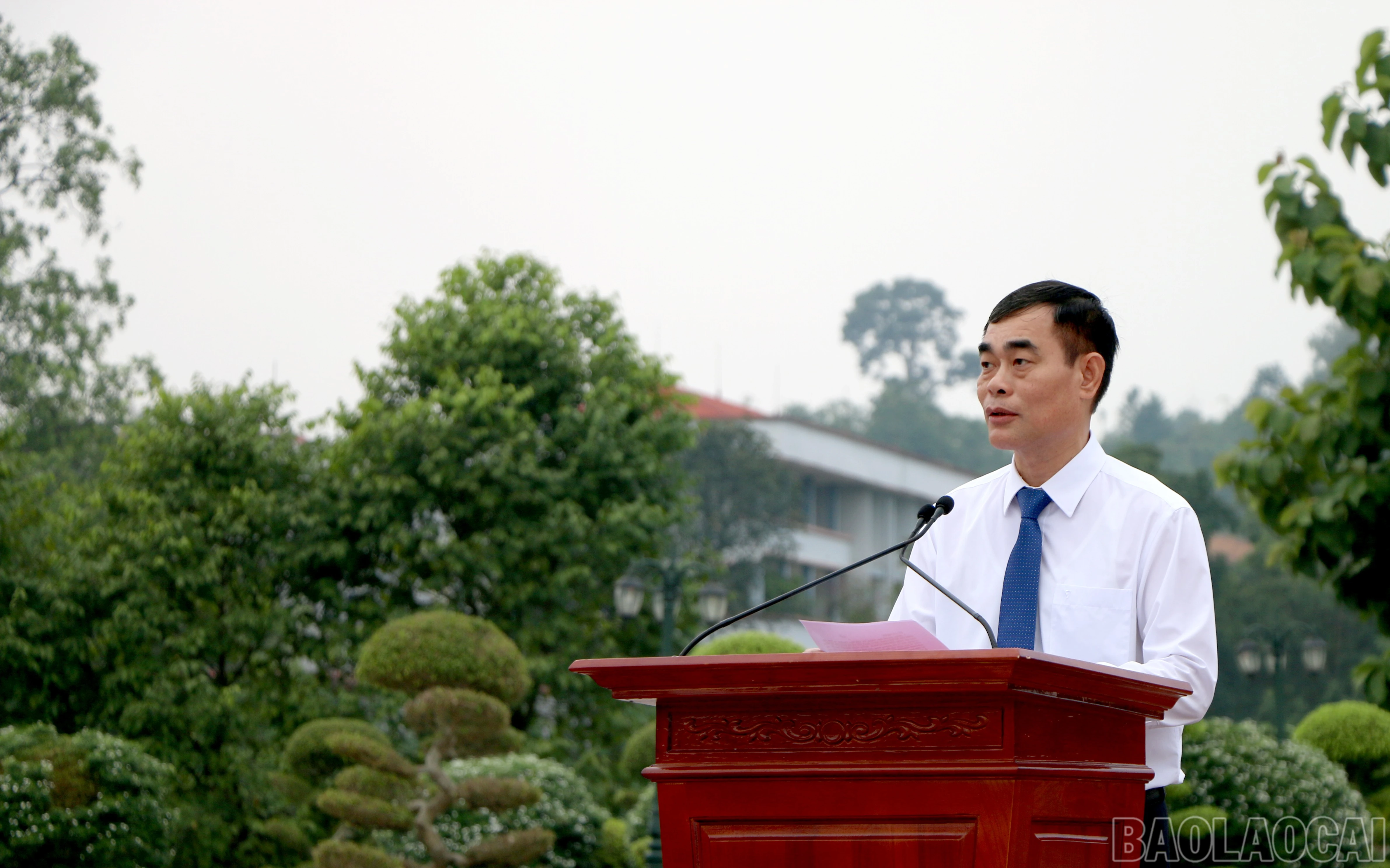 baolaocai-br_img-0012.jpg