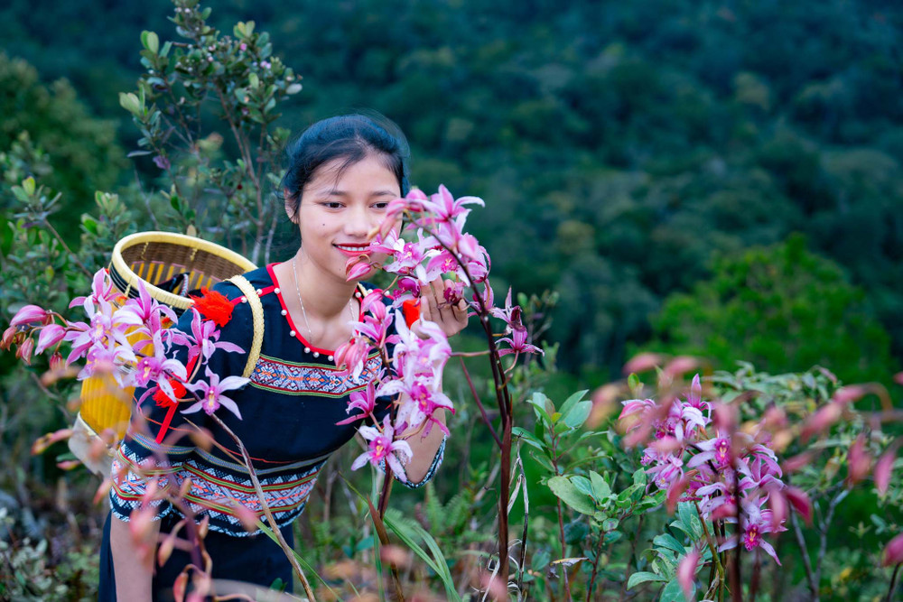 Khám phá đồi hoa địa lan tại làng Vi Rơ Ngheo | Báo Lào Cai điện tử