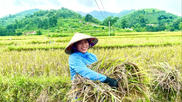 Nét đẹp của phụ nữ trong lao động