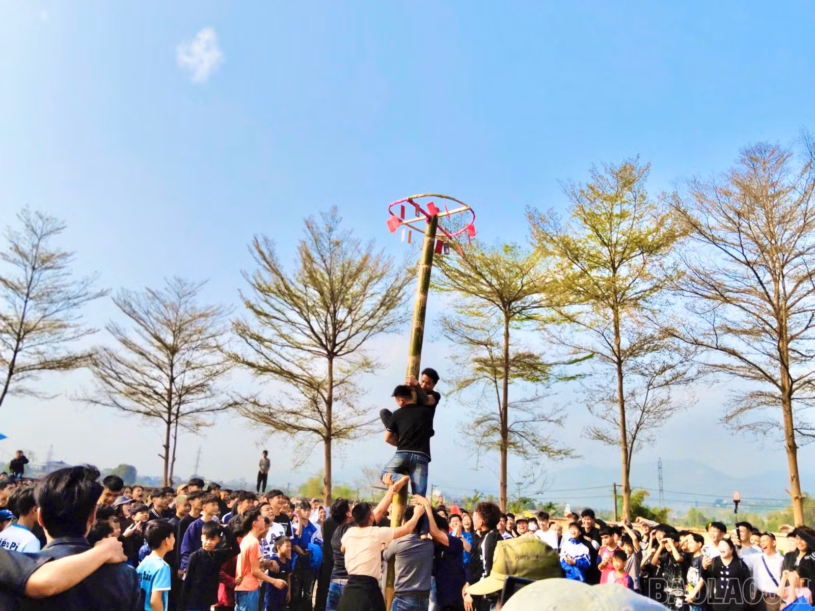 baolaocai-br_8.jpg