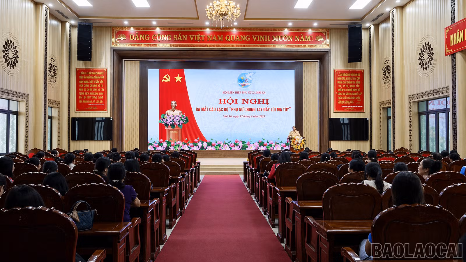 baolaocai-br_8095e71d-7d2f-4473-8ae0-e2cfda299aac.png
