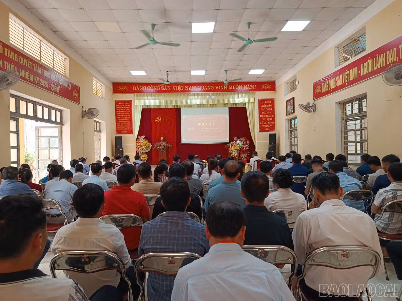 baolaocai-br_z7733946186723-a8e5068c34a0de5988b83377c3796b0b.jpg