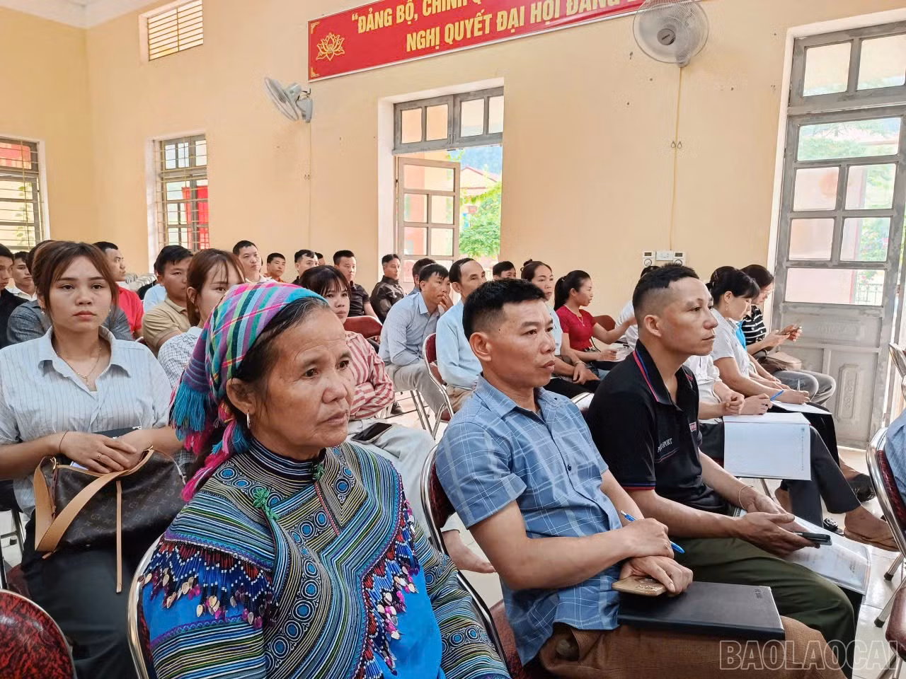 baolaocai-br_z7733946186728-61f4da7eacd52c6fbdfc242e7191eac4.jpg