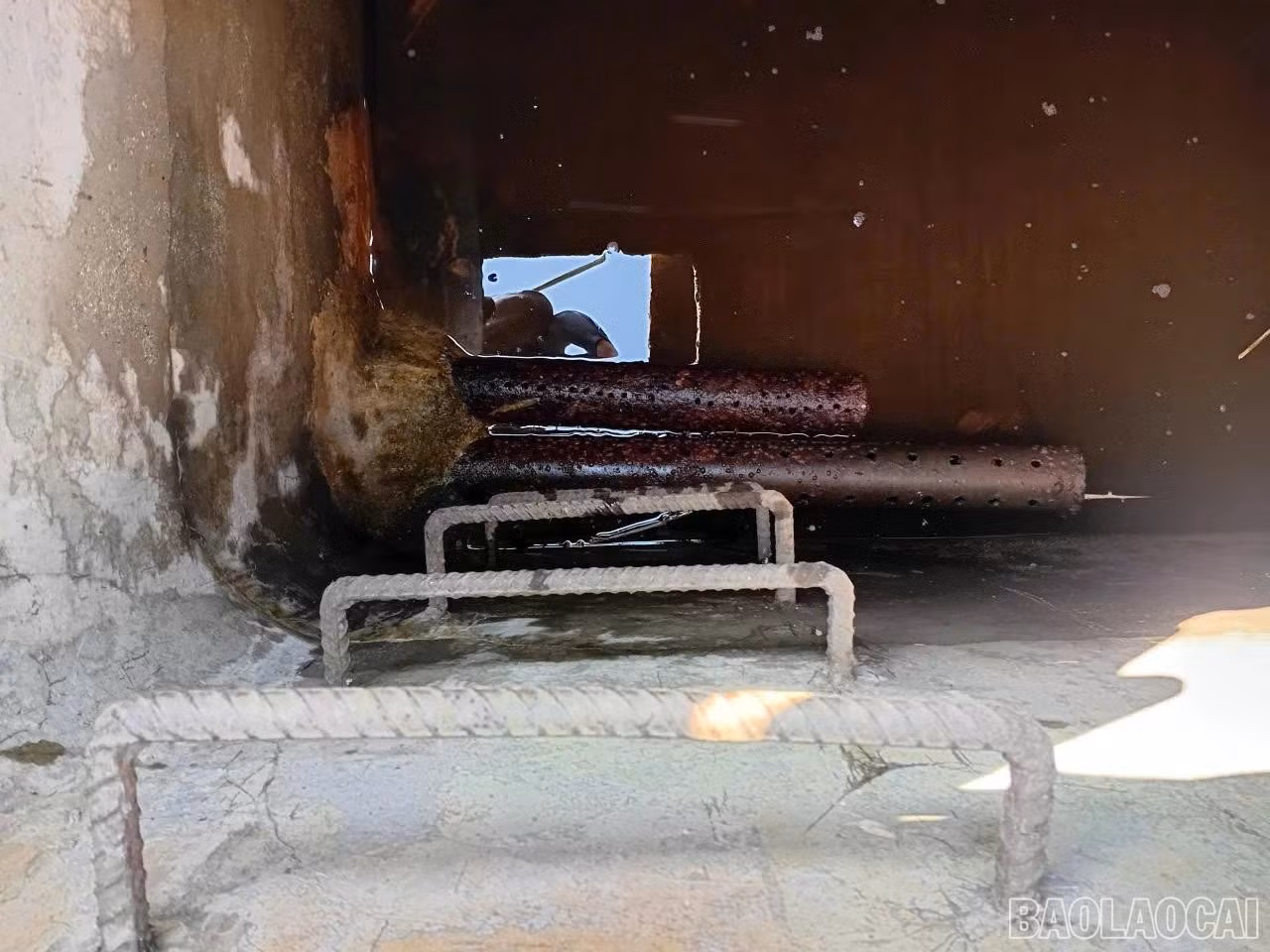 baolaocai-br_2244779335481240751.jpg