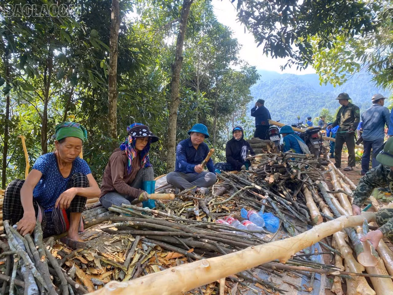 baolaocai-tl_dong-bao-dia-phuong-khai-thac-que-1.jpg