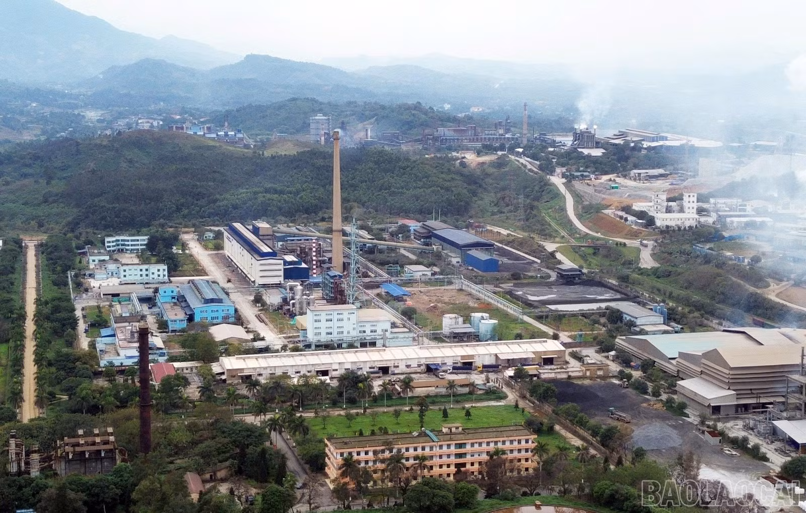 baolaocai-br_z7472231980999-c20fe6a1a0bdce764aa576557c84d00b.jpg