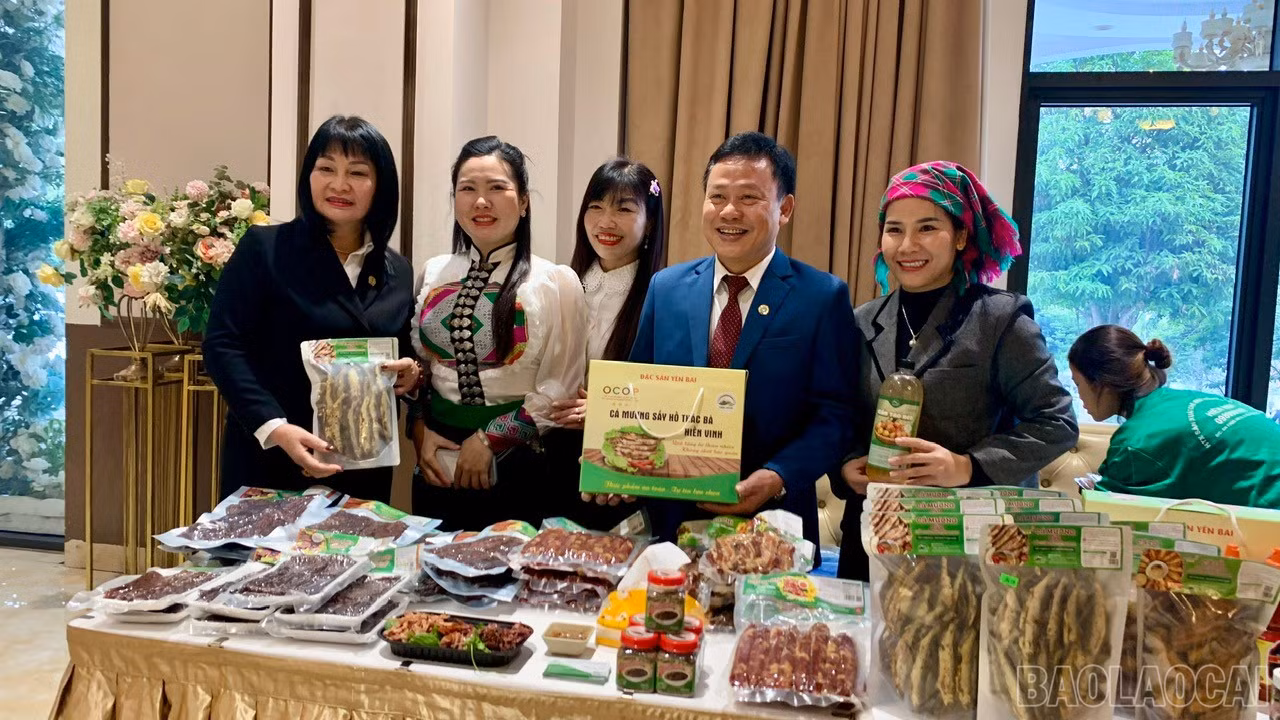 baolaocai-br_z7369541970681-91679edf6d04af34451385d213583b56.jpg