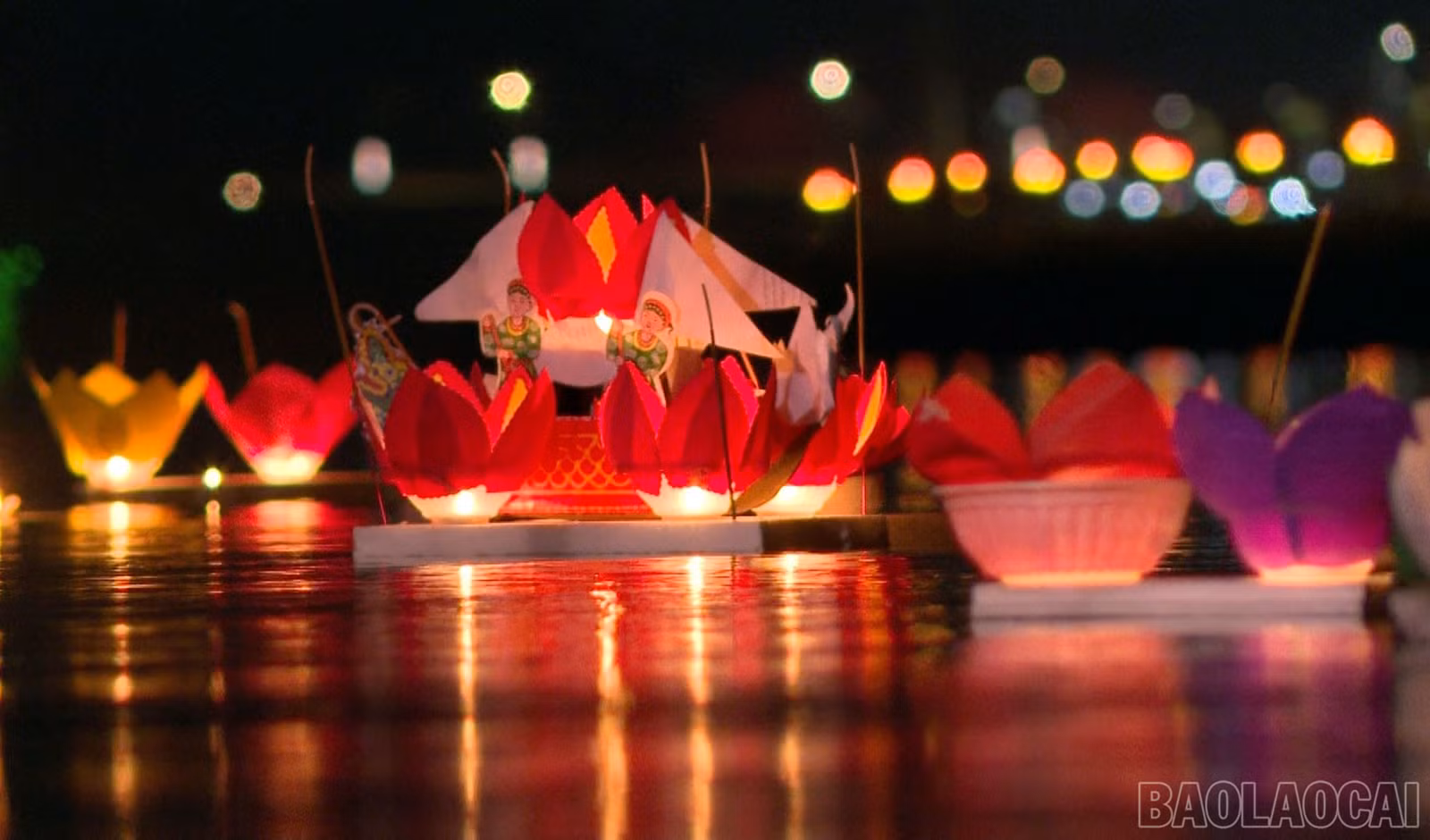 baolaocai-br_anh-1.jpg