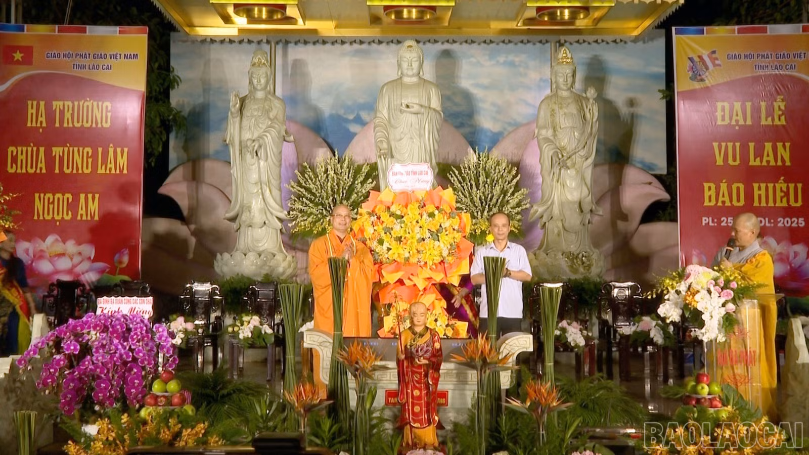baolaocai-br_anh-phong-7474.jpg