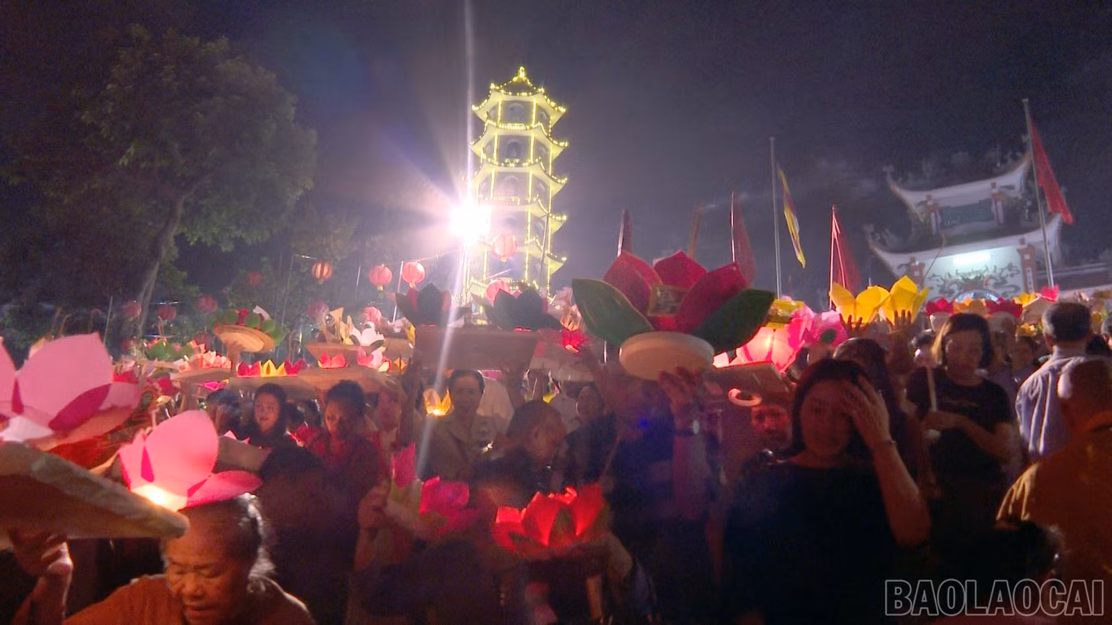 baolaocai-br_anh-3.jpg