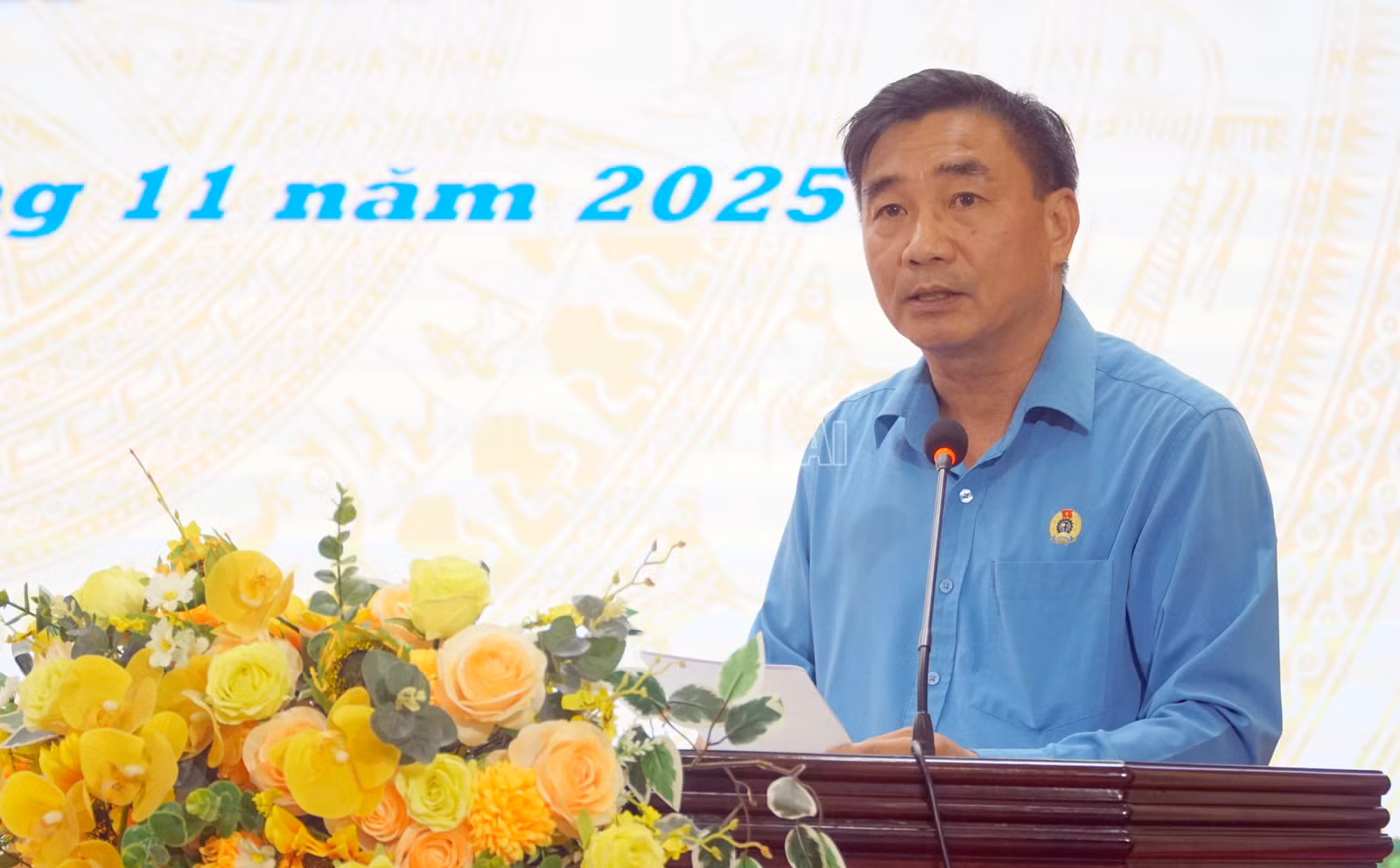 baolaocai-c_711-ld-4.jpg