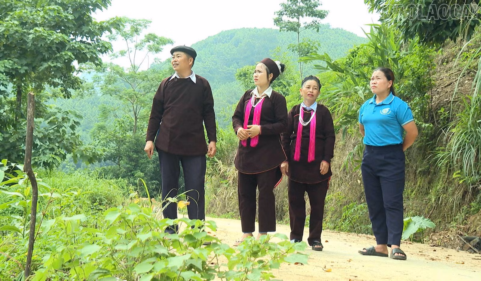 baolaocai-tr_4-842.jpg