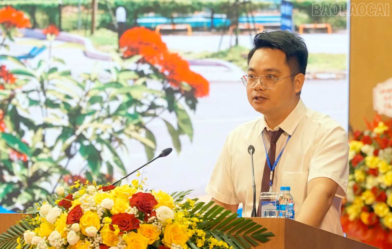 baolaocai-tr_13.jpg