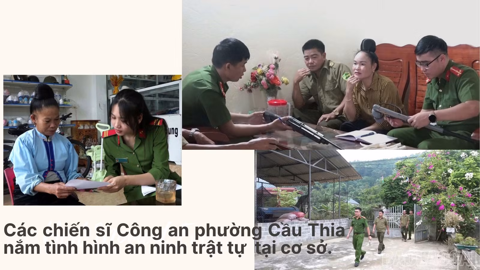 baolaocai-br_98-2.jpg