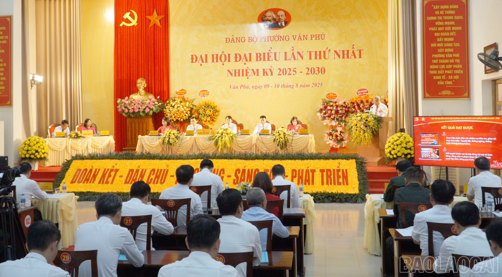 baolaocai-br_dh-10.jpg