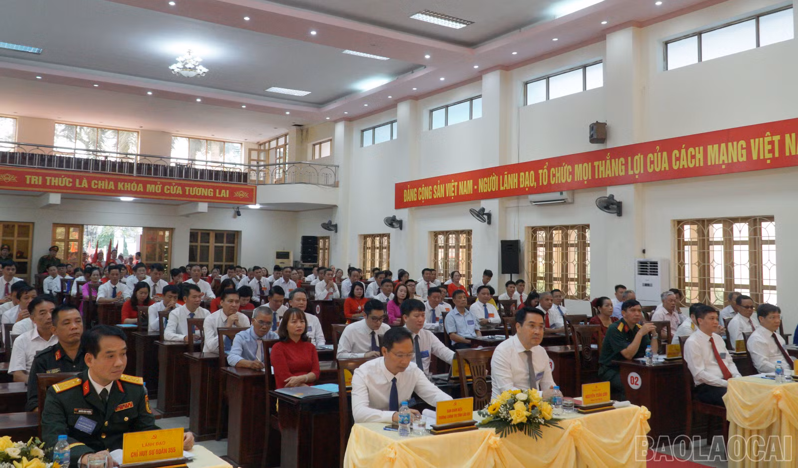 baolaocai-br_dh-5.jpg