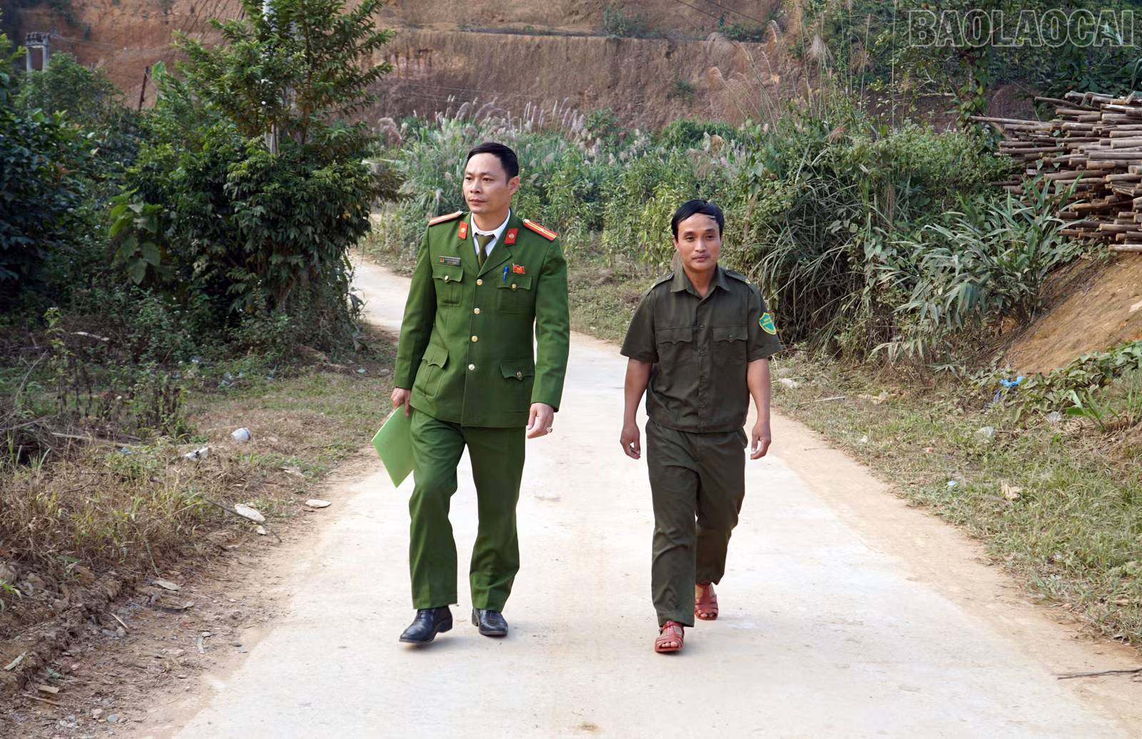 baolaocai-tr_2.jpg
