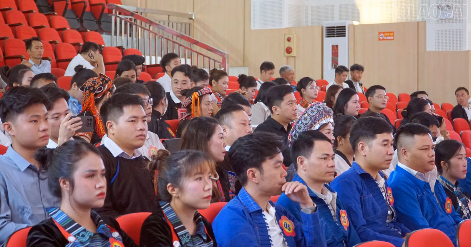 baolaocai-tr_13.jpg