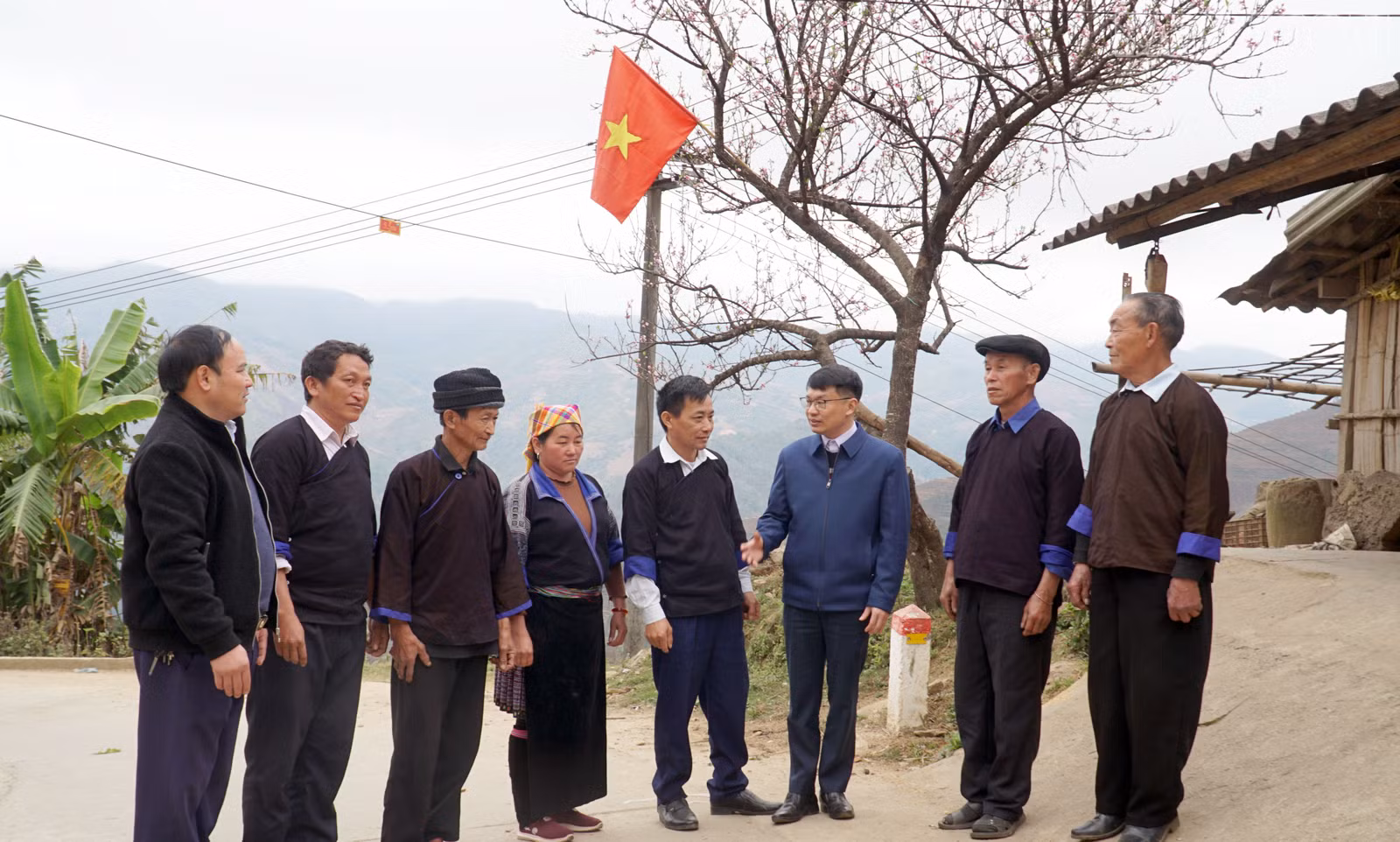 baolaocai-tr_4.jpg