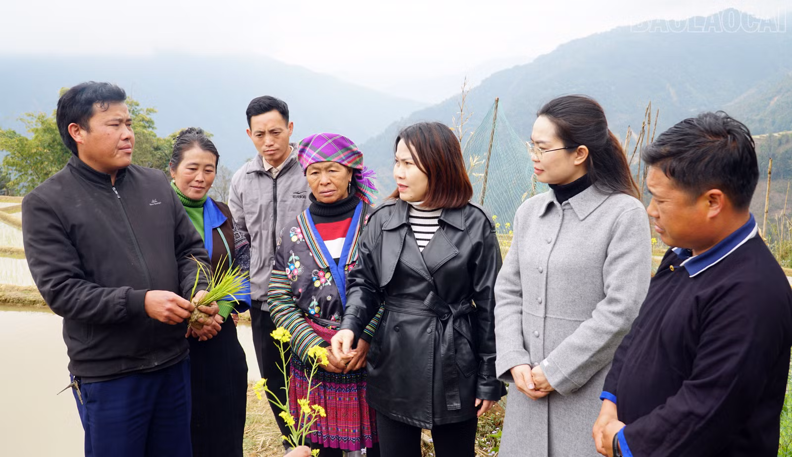 baolaocai-tr_khao-mang-2.jpg