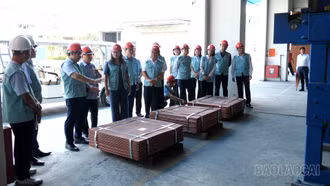 Đoàn Đại biểu Quốc hội tỉnh Lào Cai giám sát việc thực hiện chính sách về điện lực tại các doanh nghiệp