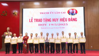 Một số đảng bộ địa phương tổ chức trao Huy hiệu Đảng cho đảng viên dịp 19/5
