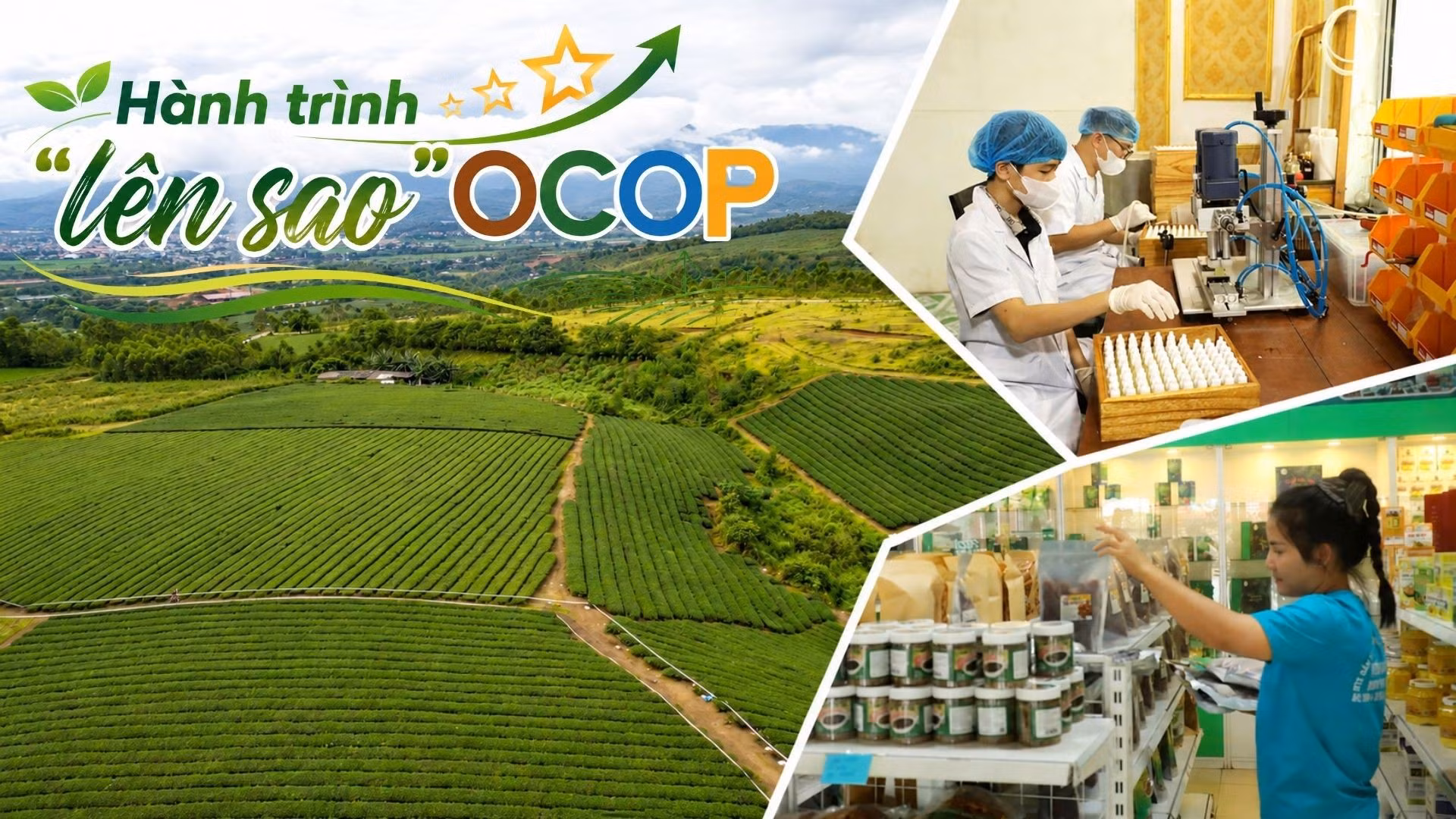 Hành trình “lên sao” OCOP