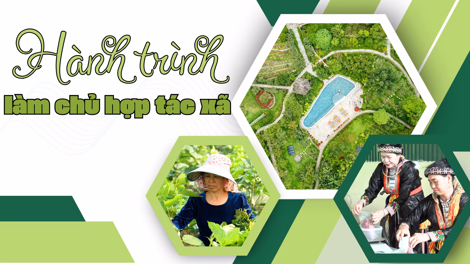 Hành trình làm chủ hợp tác xã