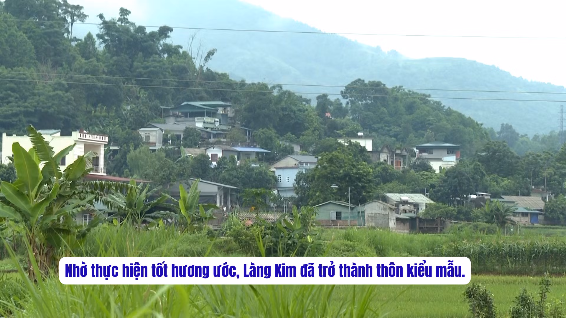 phat-huy-vai-tro-cua-1.png