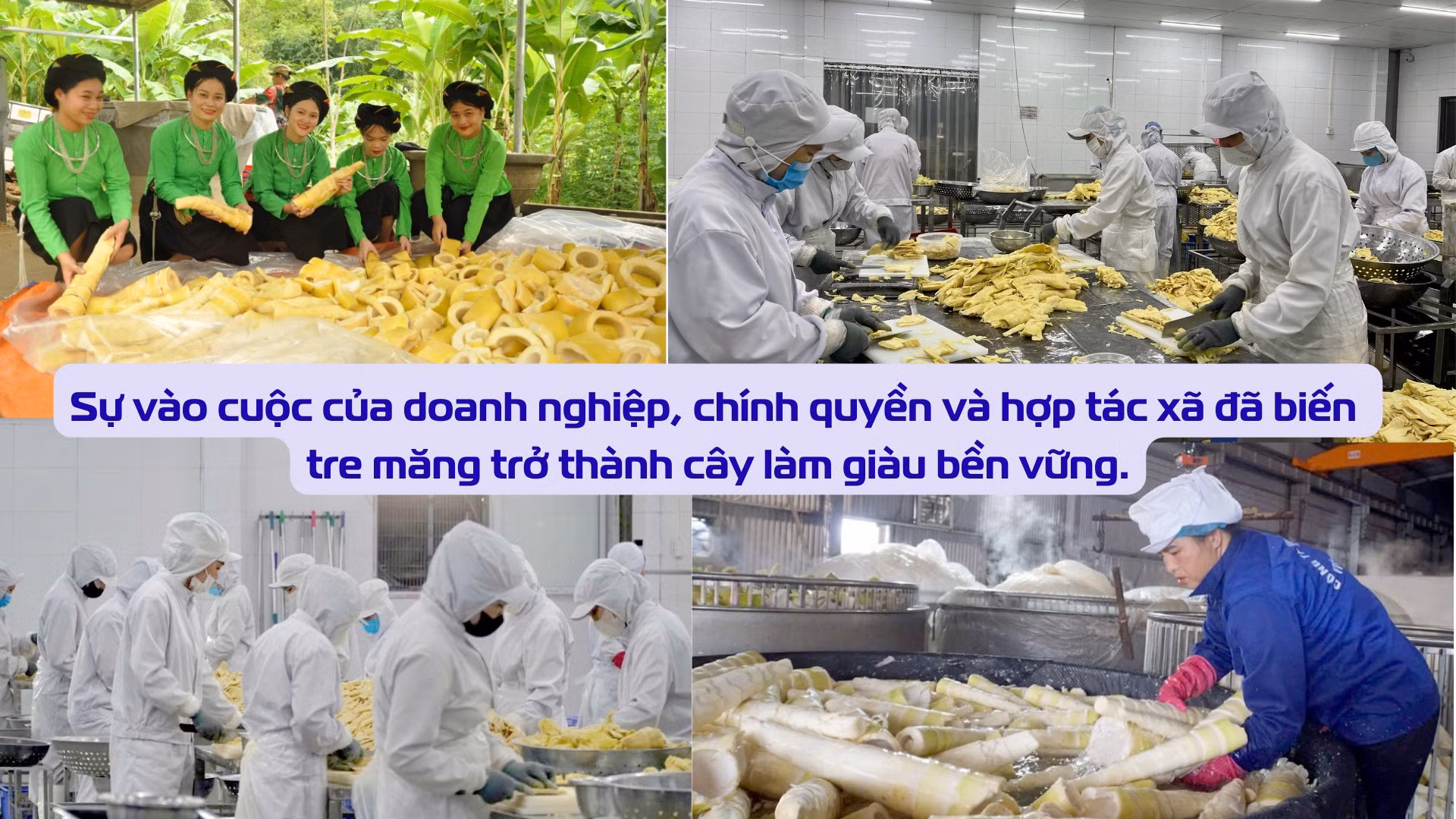 giai-bai-toan-tieu-thu.png
