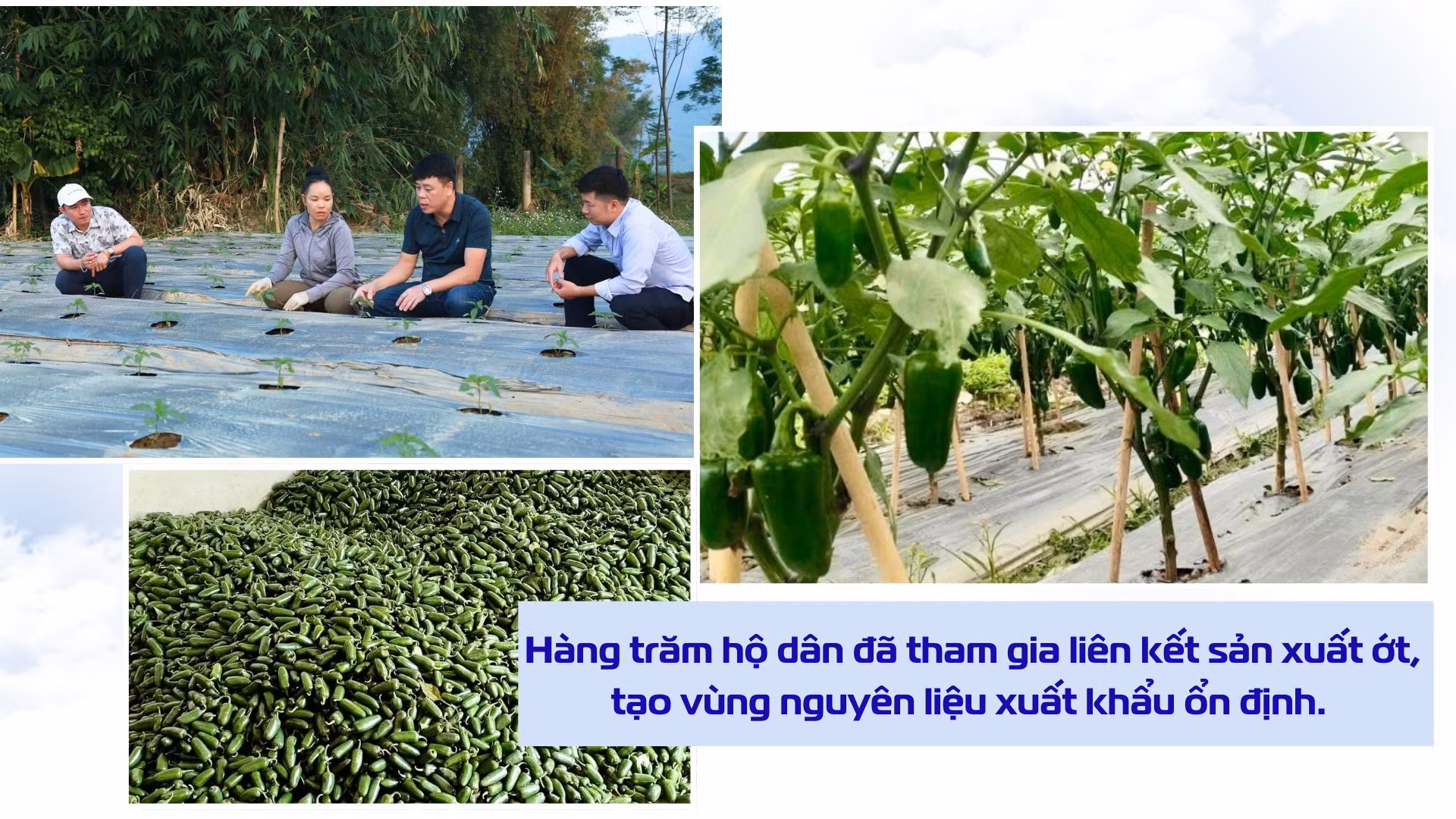 giai-bai-toan-tieu-thu-1.png