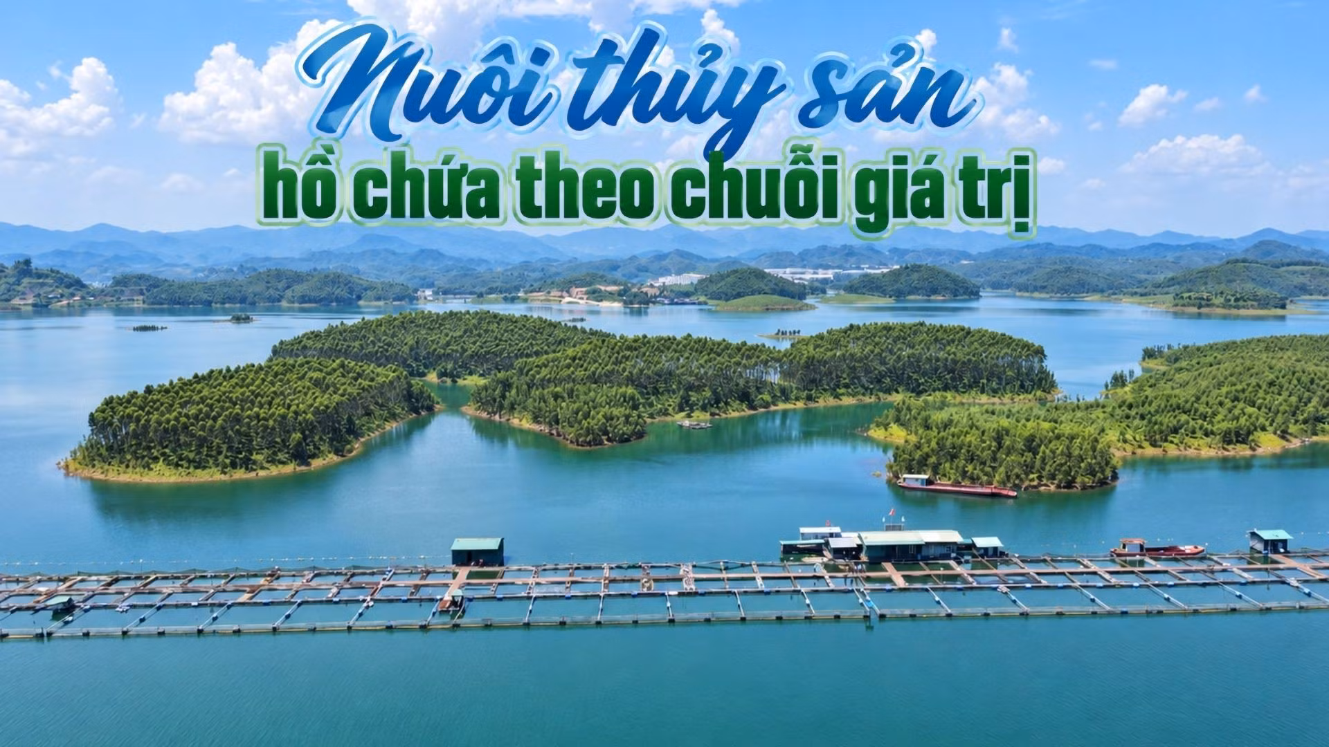 Nuôi thủy sản hồ chứa theo chuỗi giá trị