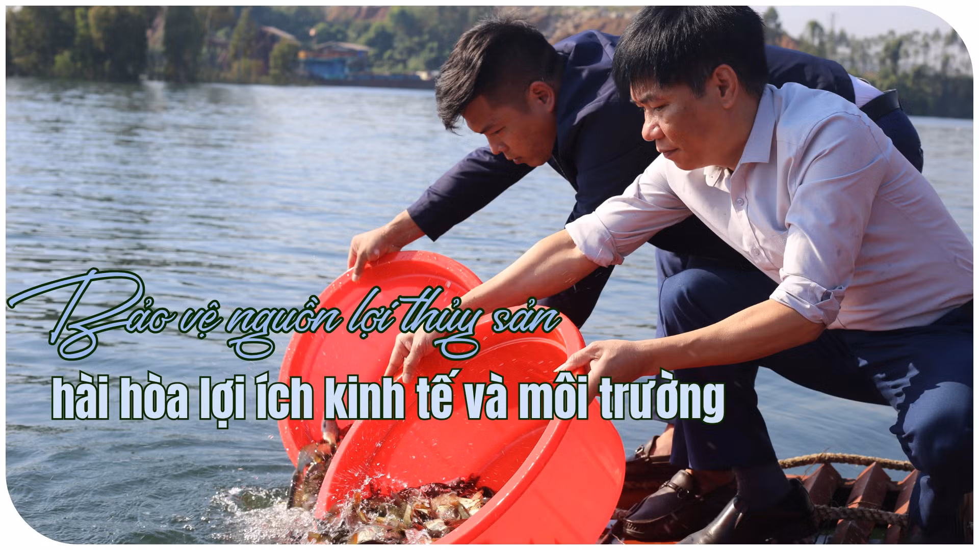 Bảo vệ nguồn lợi thủy sản hài hòa lợi ích kinh tế và môi trường