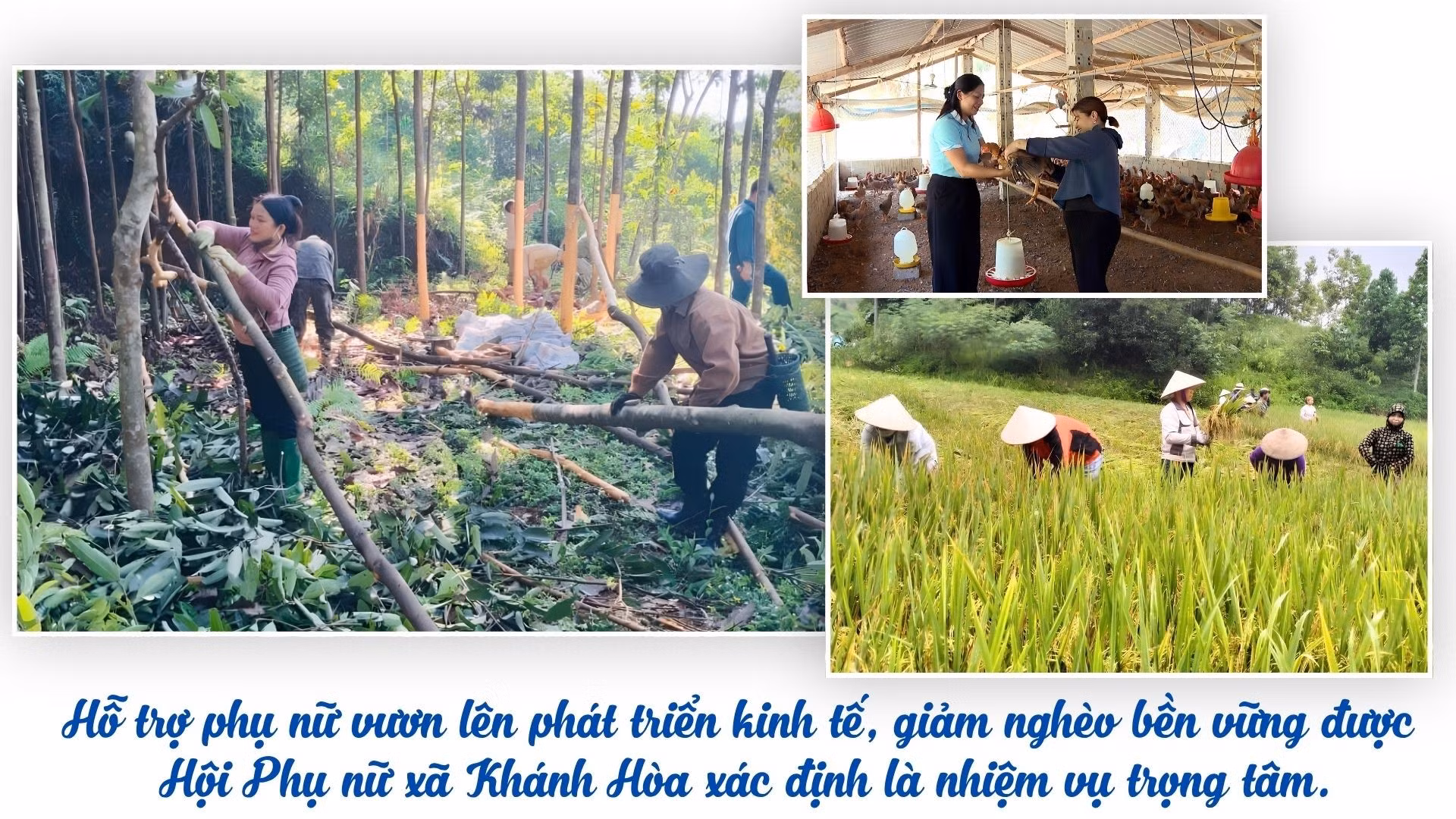 ho-tro-phu-nu-vuon-len-phat-trien-kinh-te-giam-ngheo-ben-vung-duoc-hoi-phu-nu-xa-khanh-hoa-xac-dinh-la-nhiem-vu-trong-tam-2.jpg